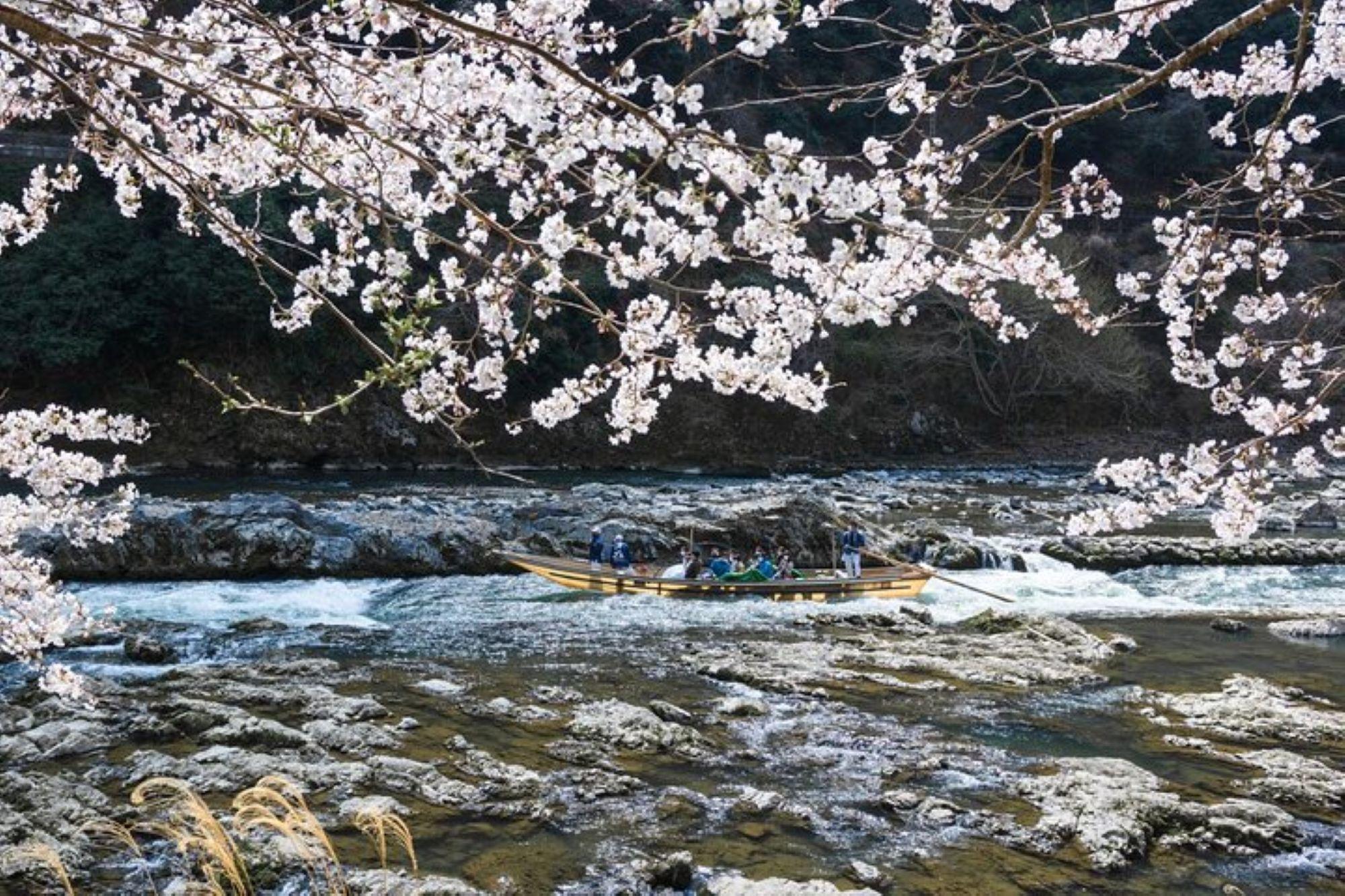 Kyoto Sagano Romantic Train & Hozugawa River Boat Adventure