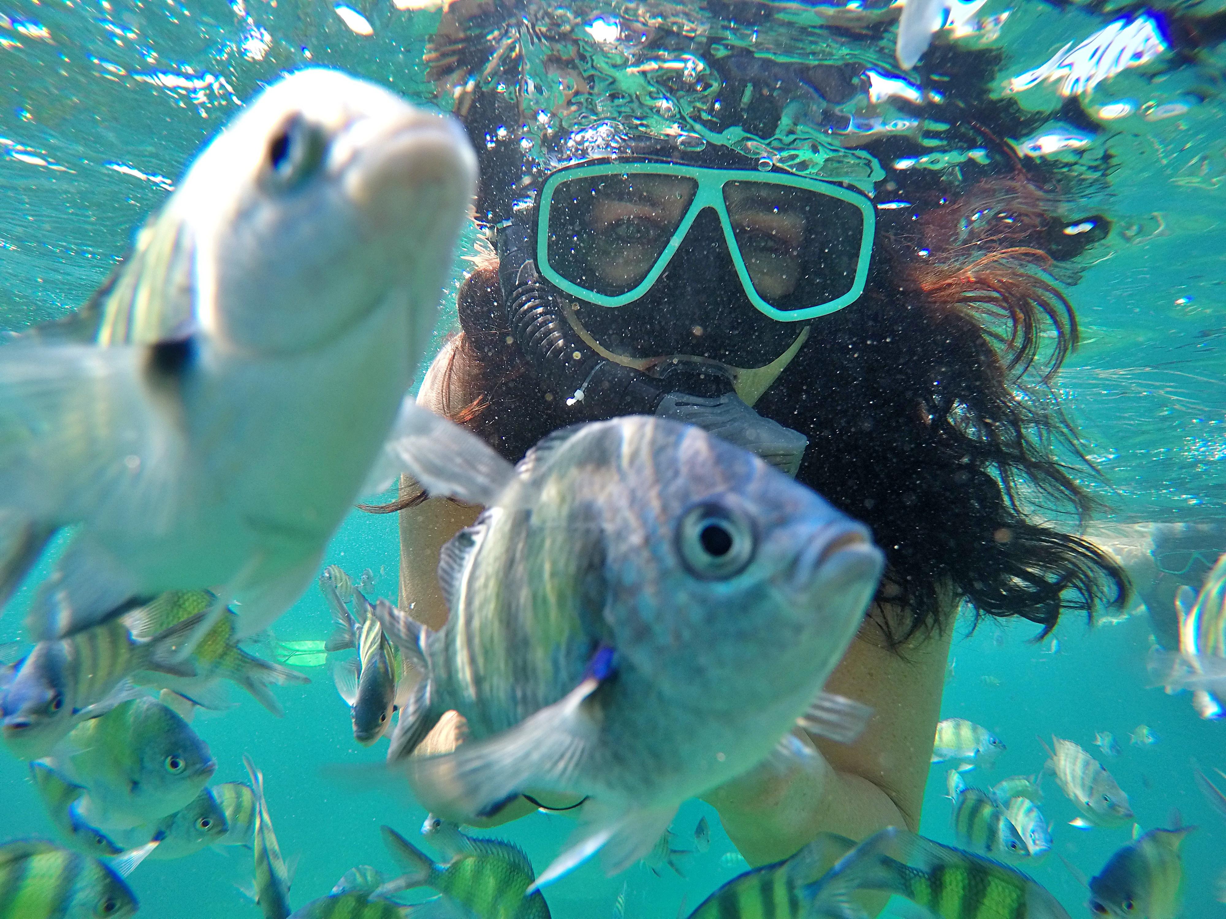 Phuket: Phi Phi & James Bond Island All-in-One Speedboat Tour
