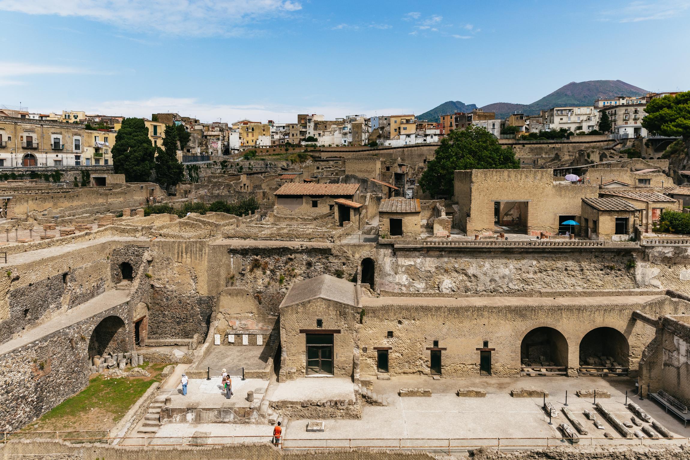 Herculaneum Archaeological Tour with Expert Guide