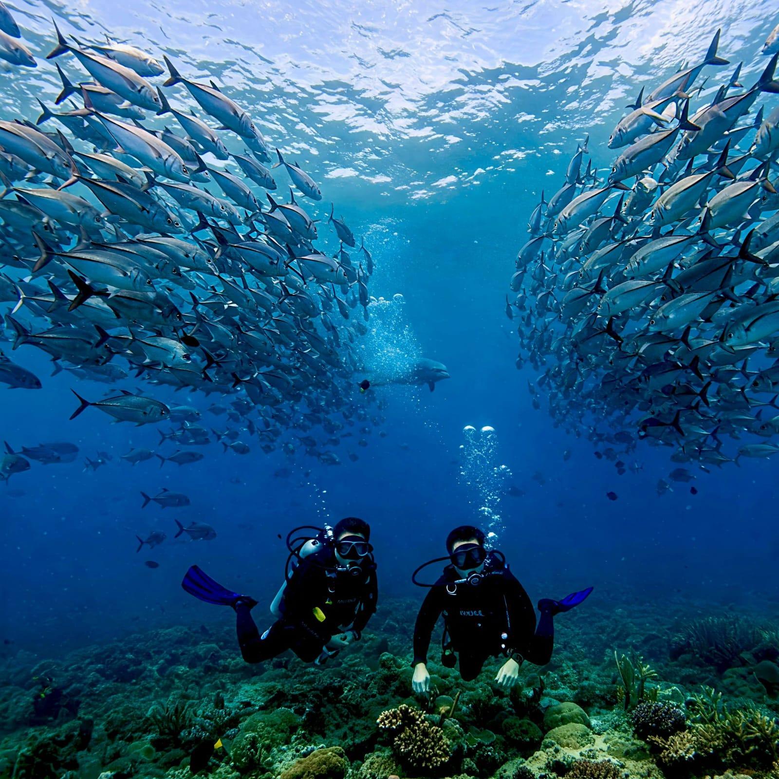 Phuket: Racha & Maiton Islands Scuba Diving for All Levels