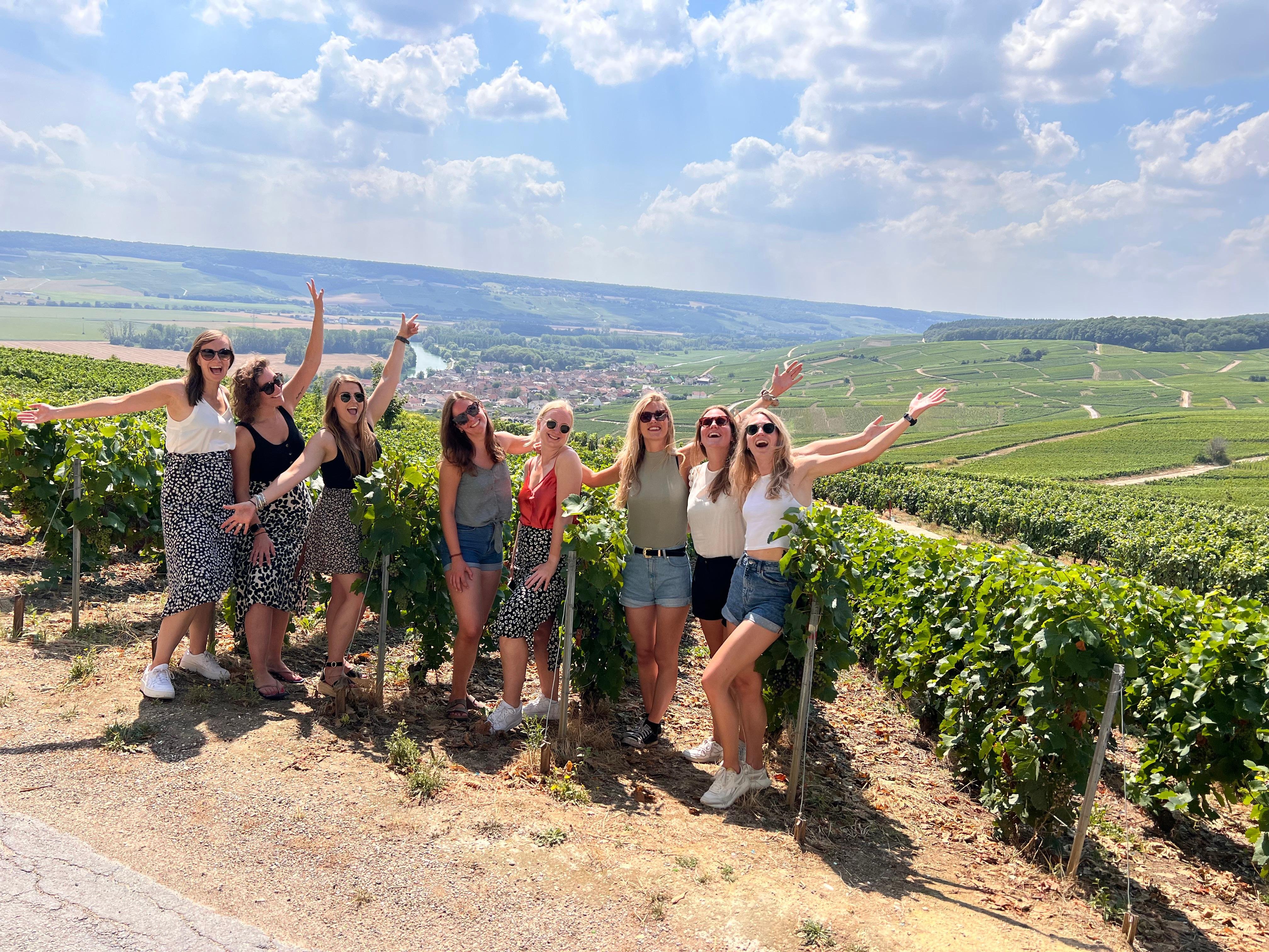 From Reims/Epernay: Champagne half-day tour (small group)
