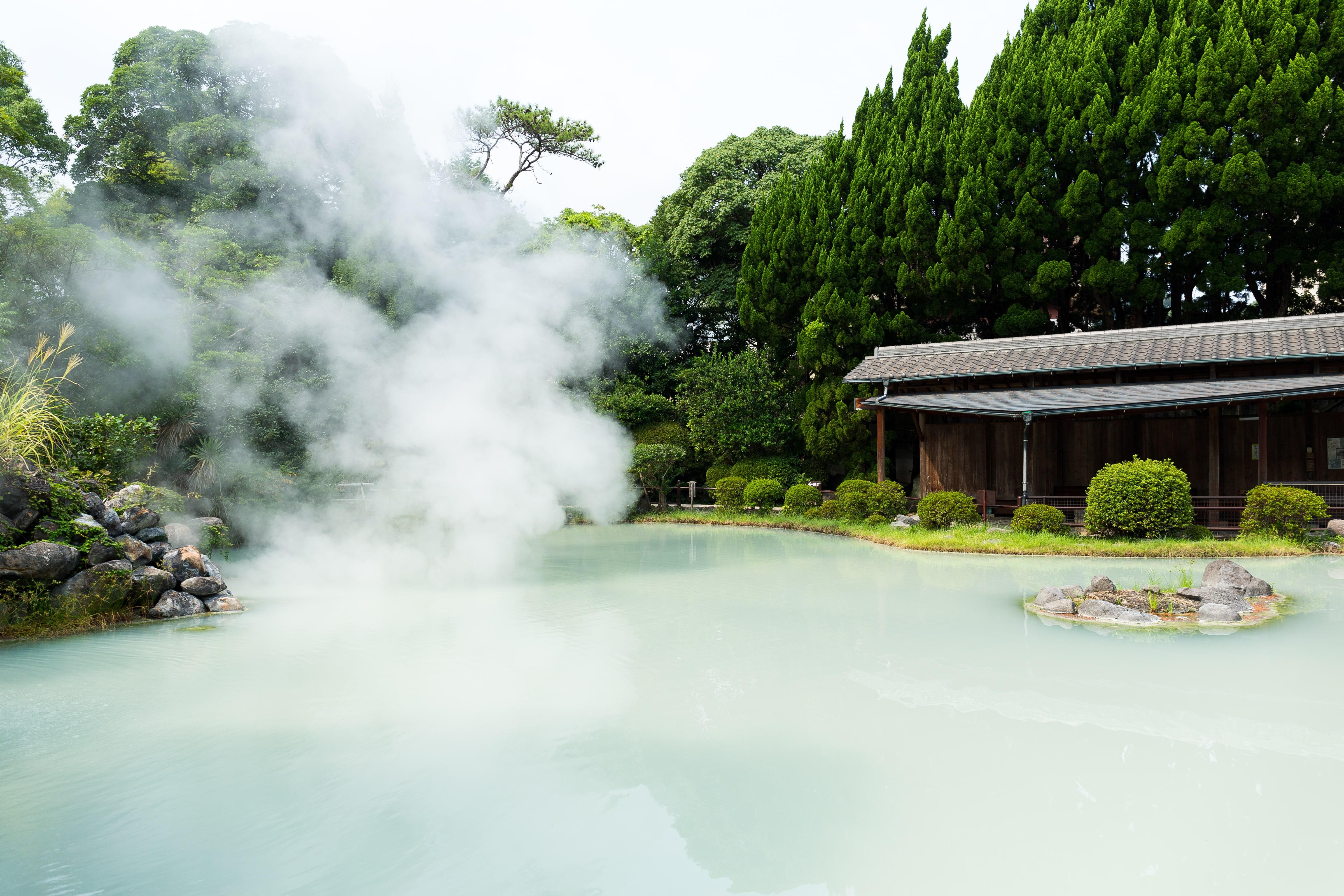 From Tokyo: Private Tour to Fuji/Hakone - Onsen, Art, Nature — Japanese onsen experience photo 40