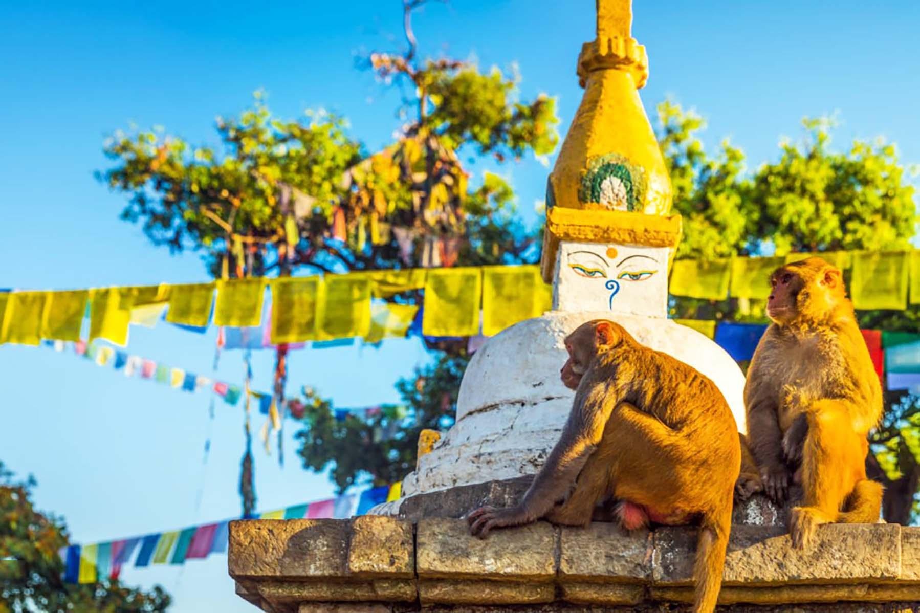 Kathmandu: Chandragiri Cable Car & Monkey Temple Excursion