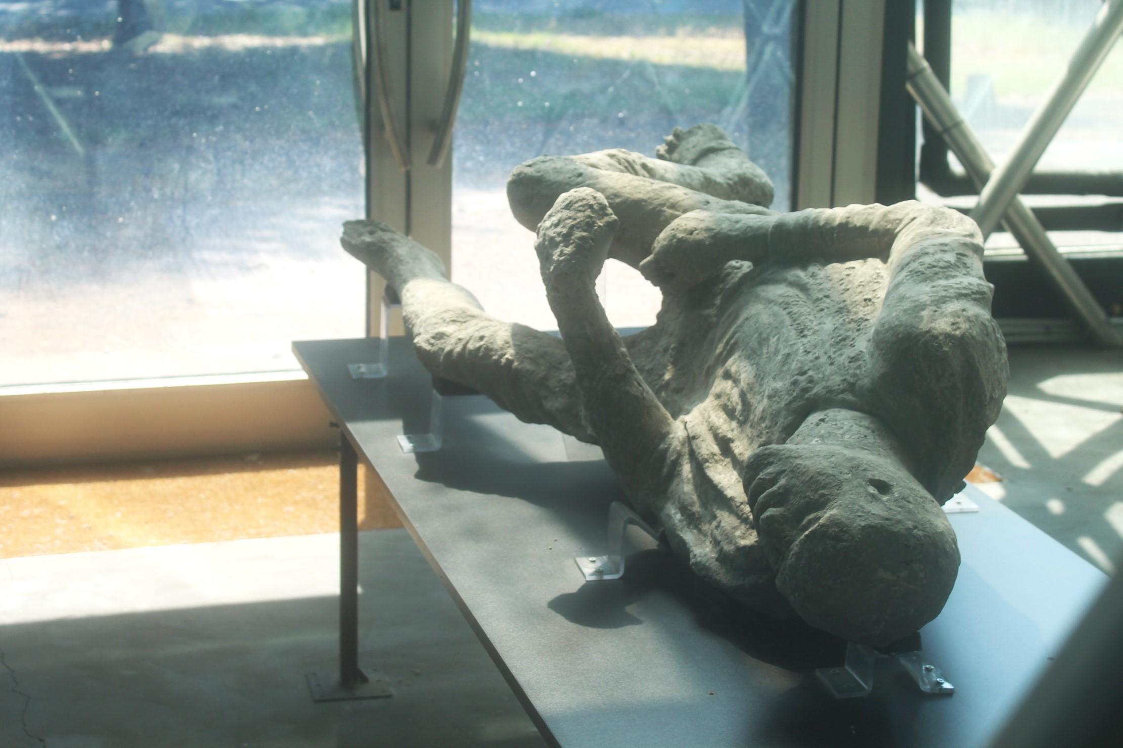 From Naples: Pompeii and Vesuvius Tour with Lunch Included - Mount Vesuvius crater tour and Bay of Naples views