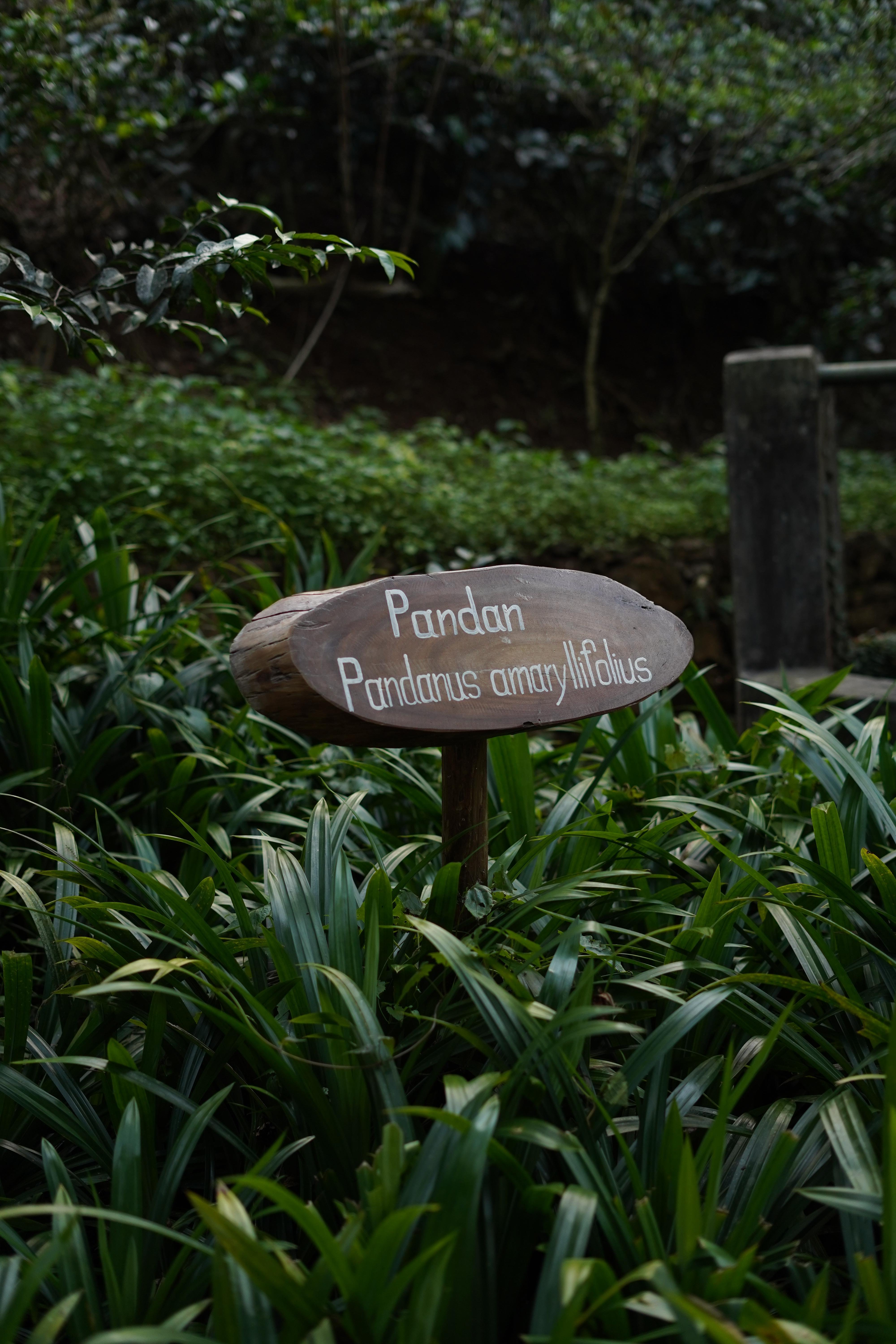 Ella Spice Garden Tour & Authentic Cooking Class