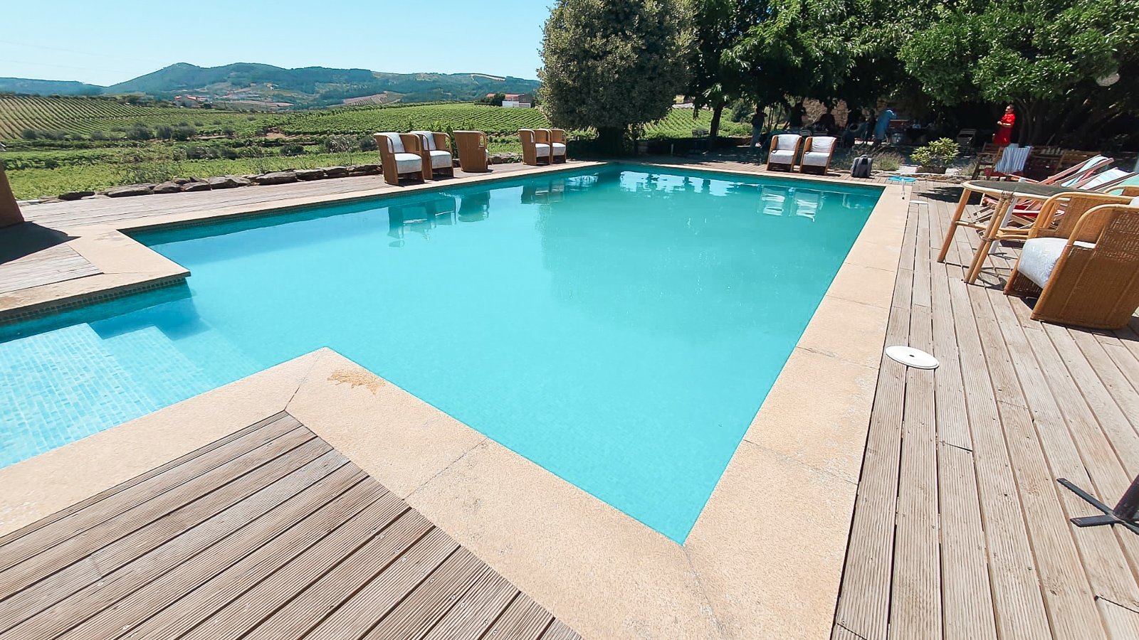 Douro Valley Premium Wine Tour with Cruise & Lunch from Porto