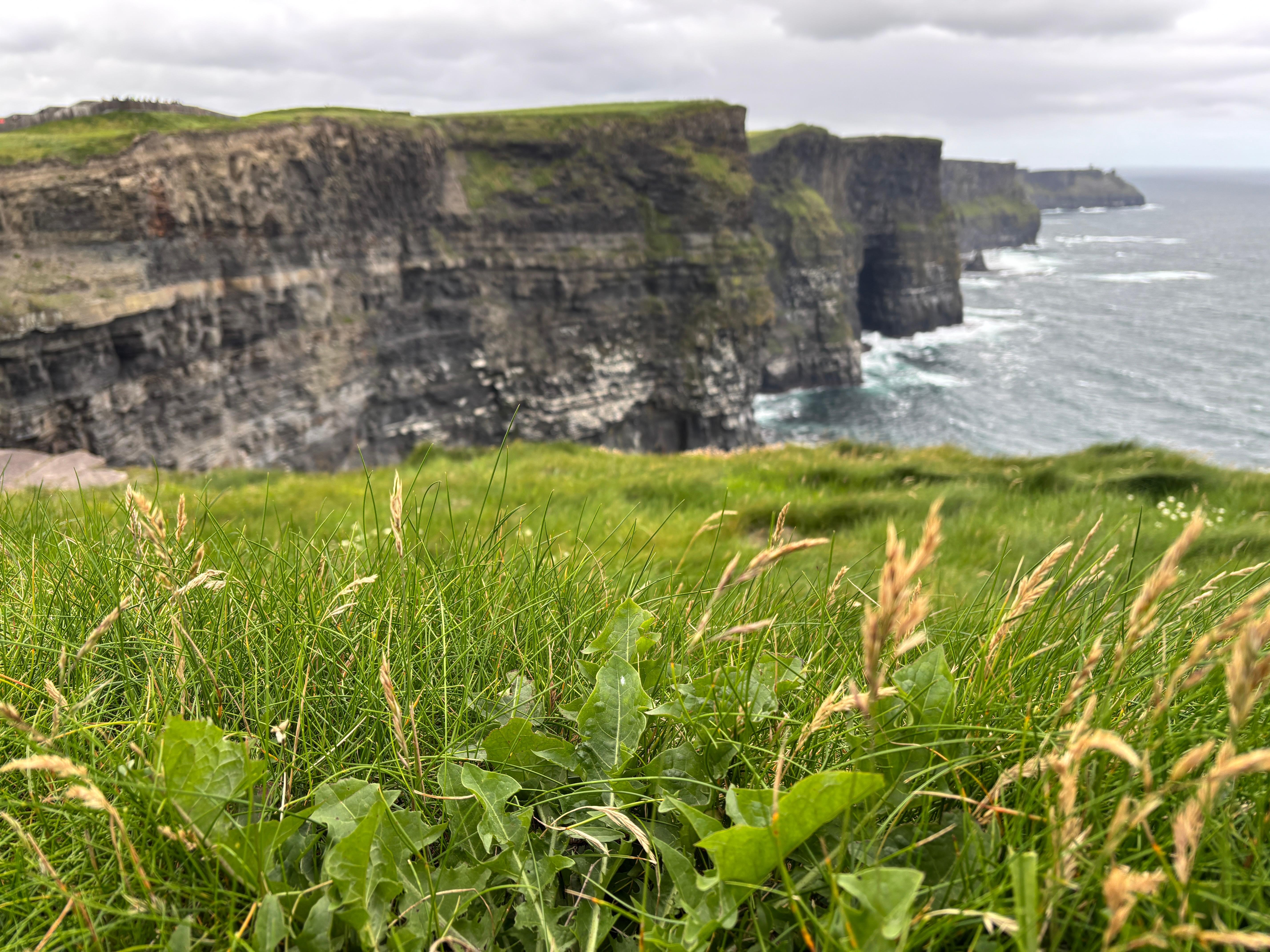 Private Cliffs of Moher & Wild Atlantic Way Tour from Foynes Cruise Port