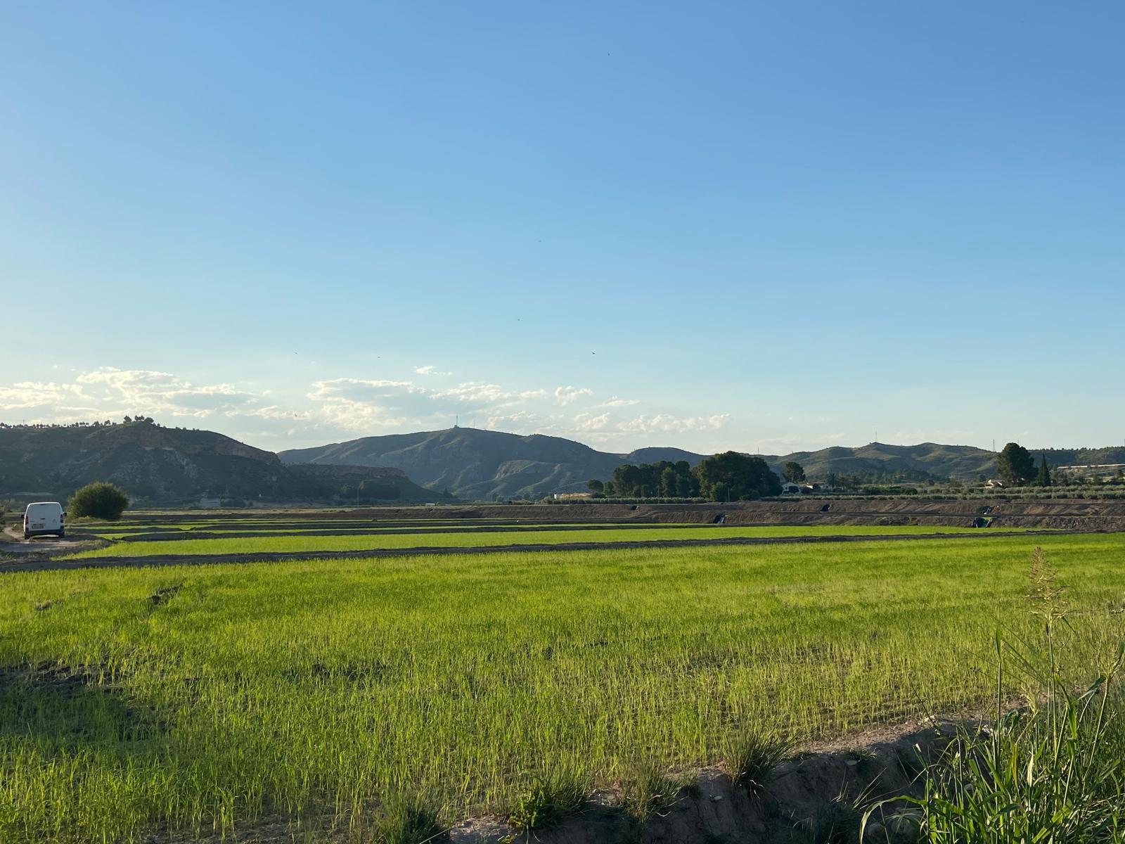 Calasparra Rice Trail Walk