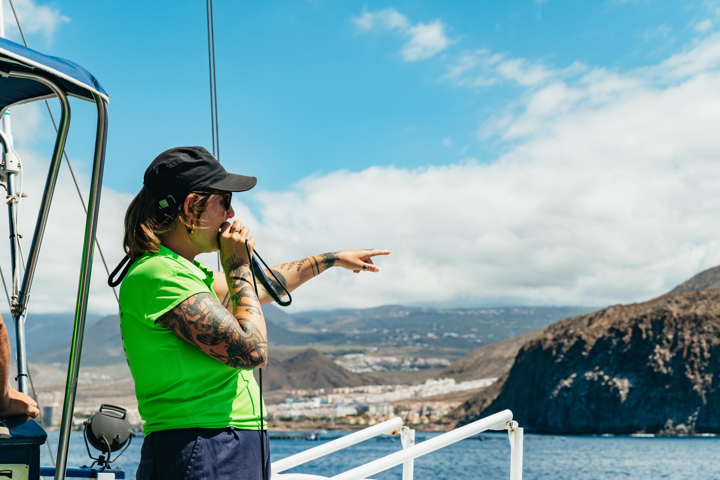 Tenerife Eco-Friendly Whale & Dolphin Catamaran Safari