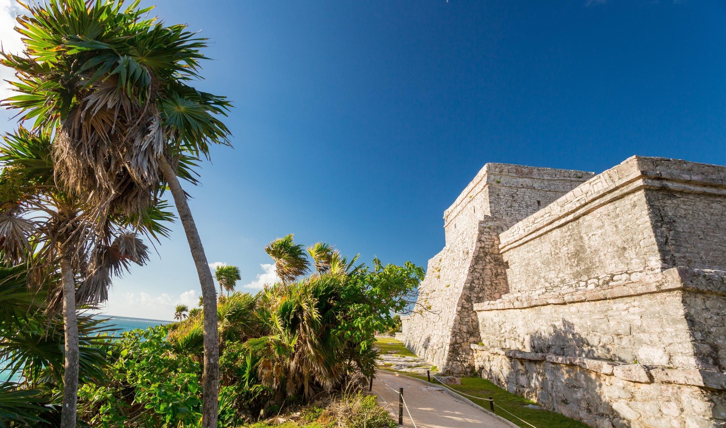 Tulum, Cenote & Sea Turtle Snorkel Day Trip from Riviera Maya