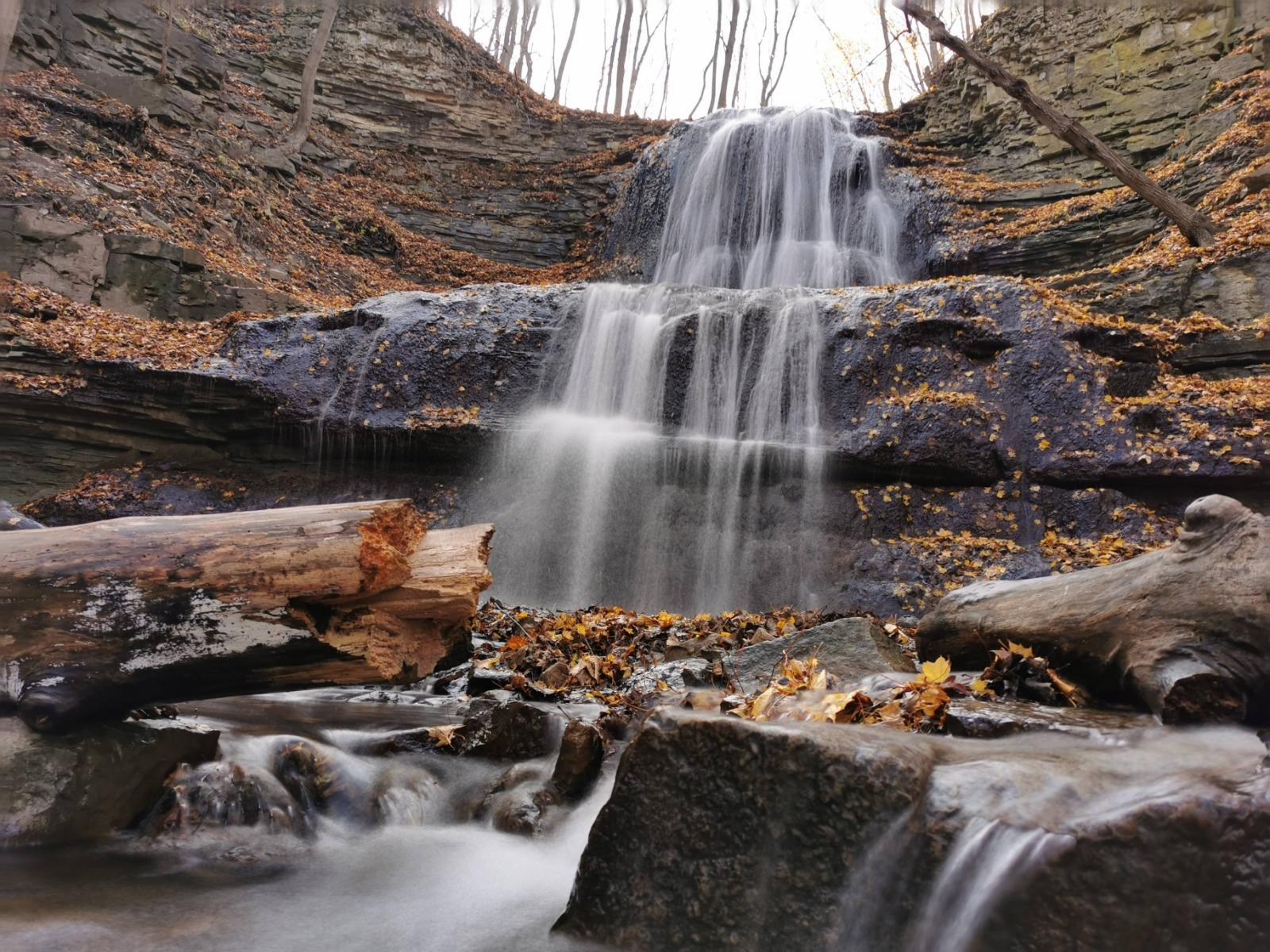 Hamilton Waterfalls Discovery Tour