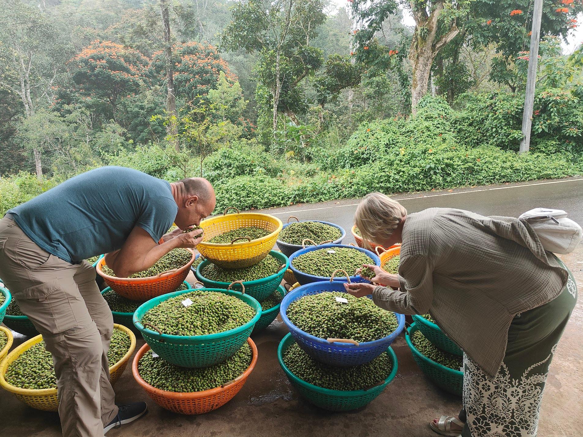Kochi Sacred Aroma & Spice Heritage Tour