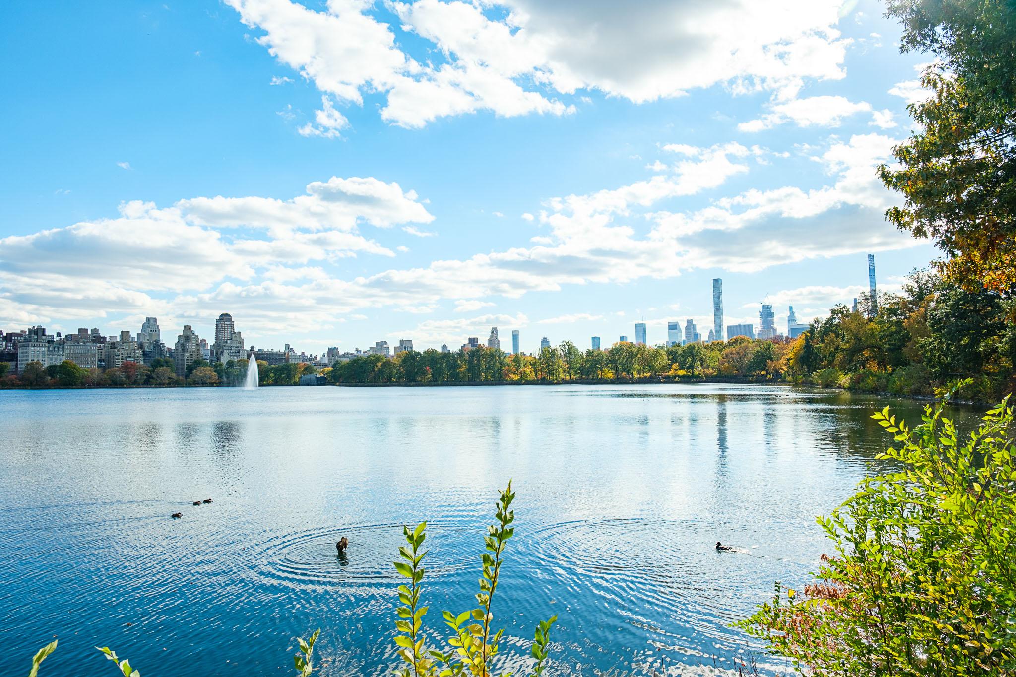 Central Park Pedicab Sightseeing Tour