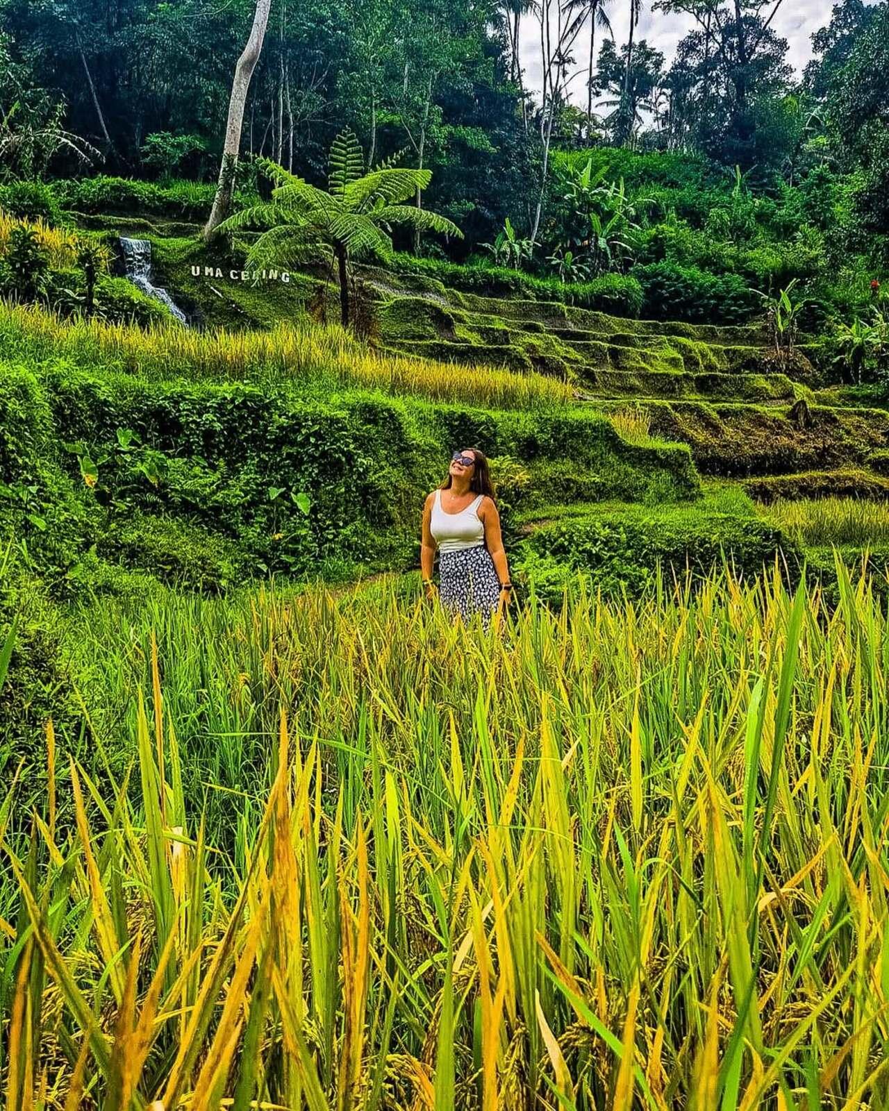Ubud Private Day Tour: Waterfalls, Water Temple & Rice Terraces