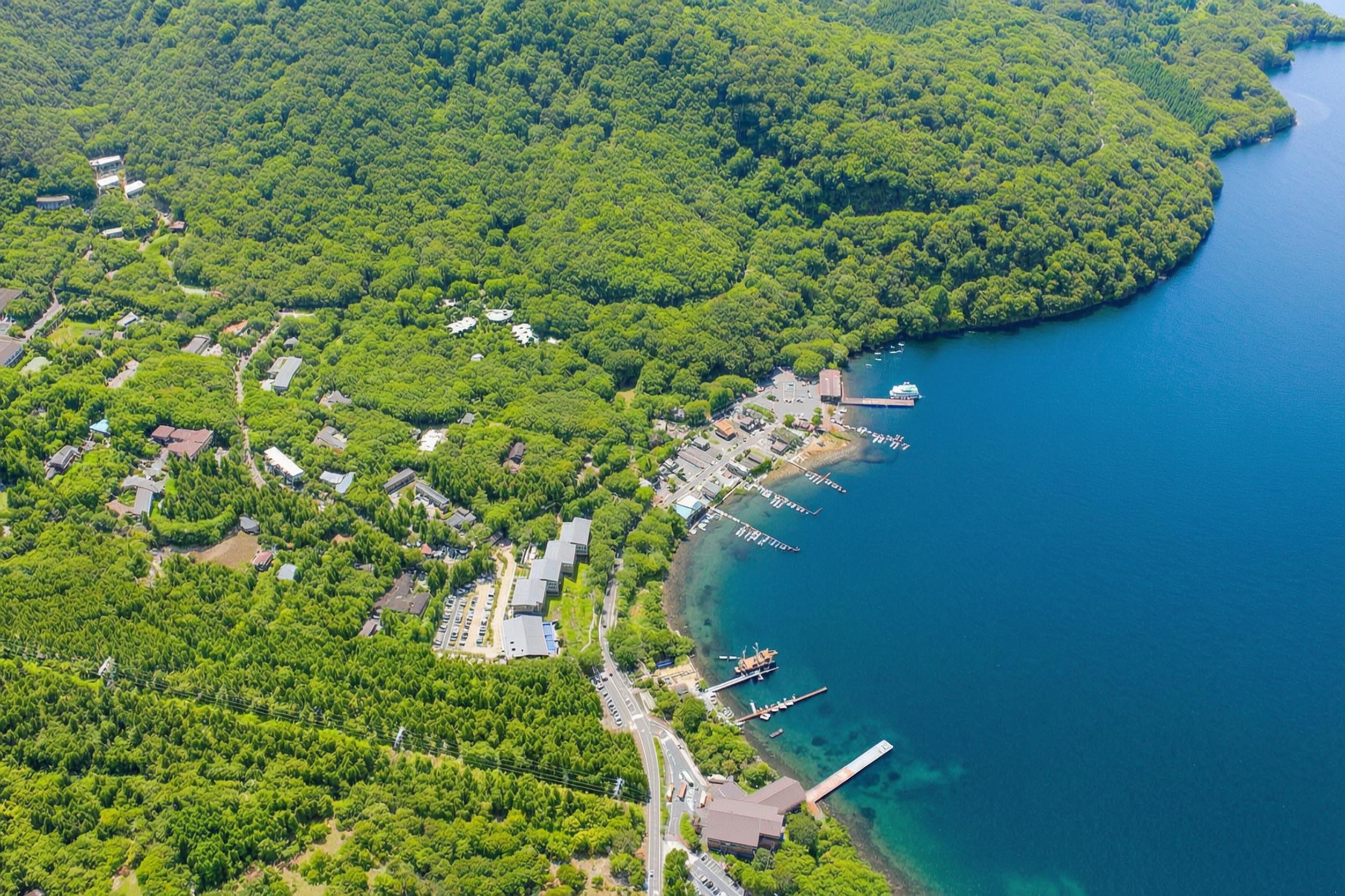 Hakone & Enoshima Day Tour: Ropeway, Pirate Ship & Mt. Fuji Views