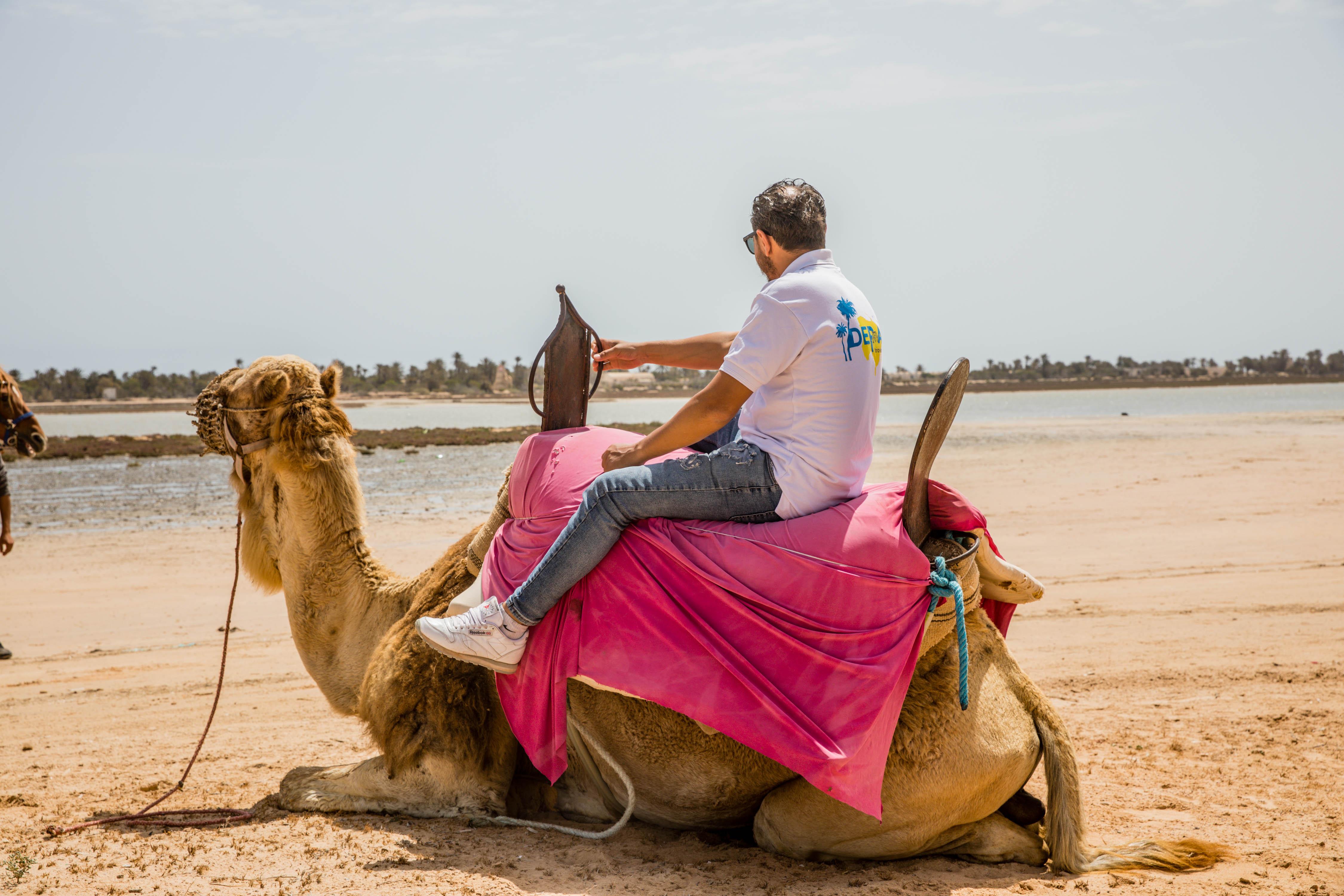 Djerba Multi-Adventure: Quad, Camel & Horse Expedition