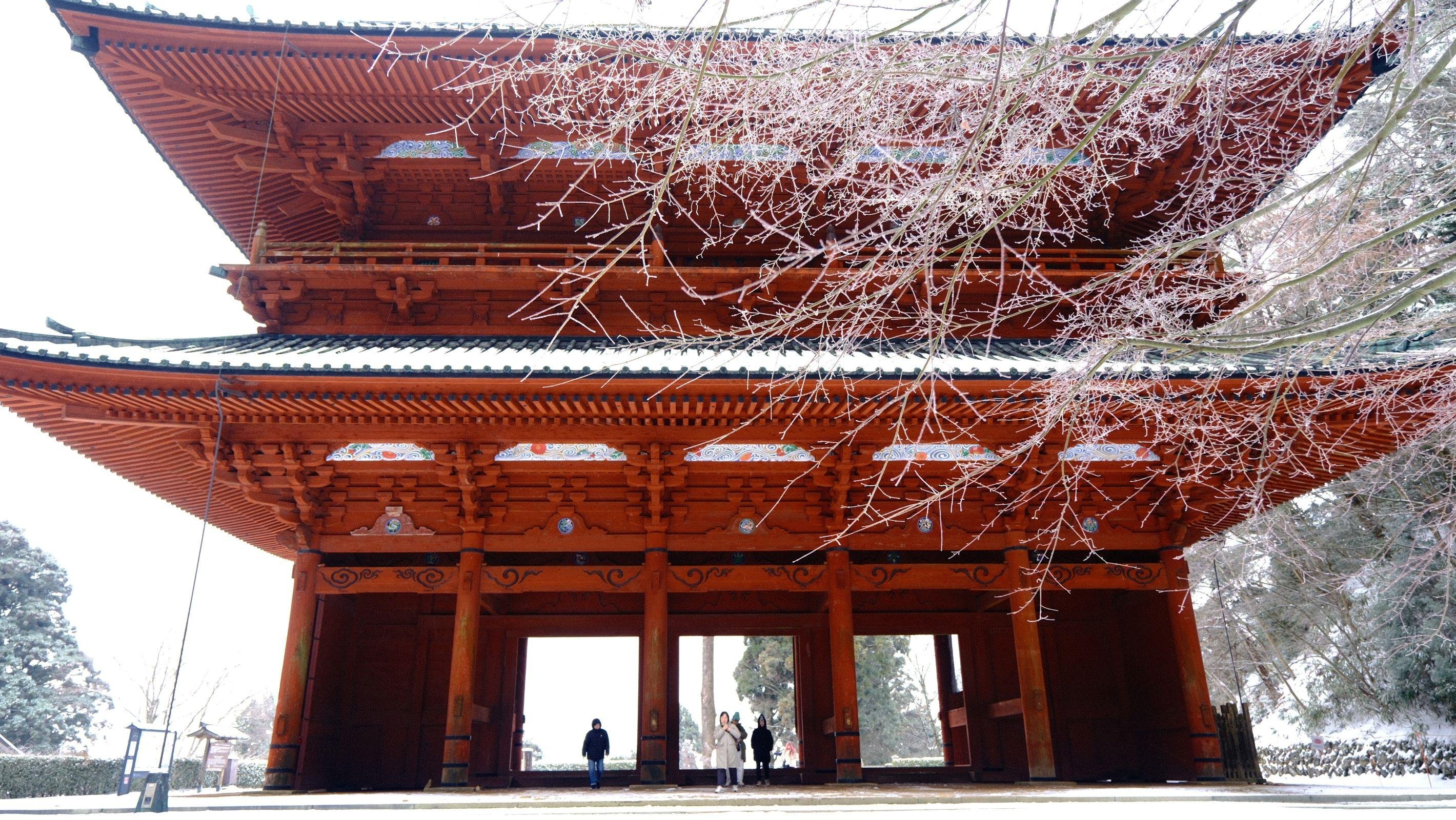 UNESCO Mount Koya: Hidden Gems & Temple Tour (Small Group)