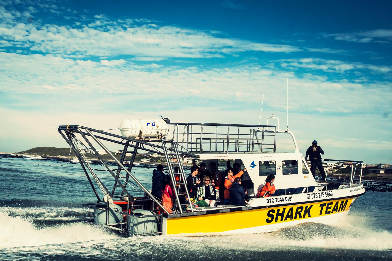 Shark Cage Diving from Cape Town or Hermanus – White Shark Projects