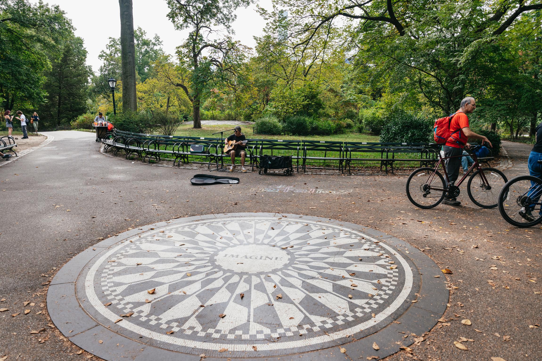 Central Park Private Pedicab Tour with Photographer