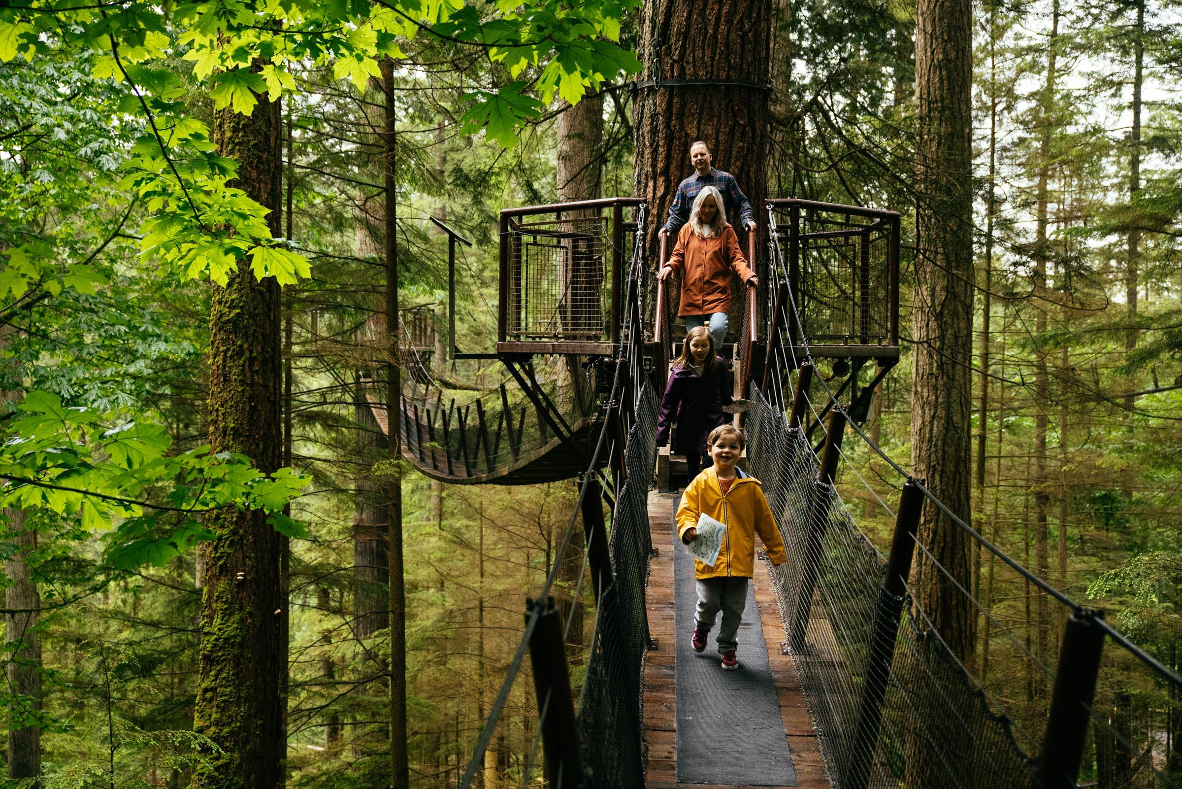 Vancouver North Shore & Capilano Canyon Lights Explorer