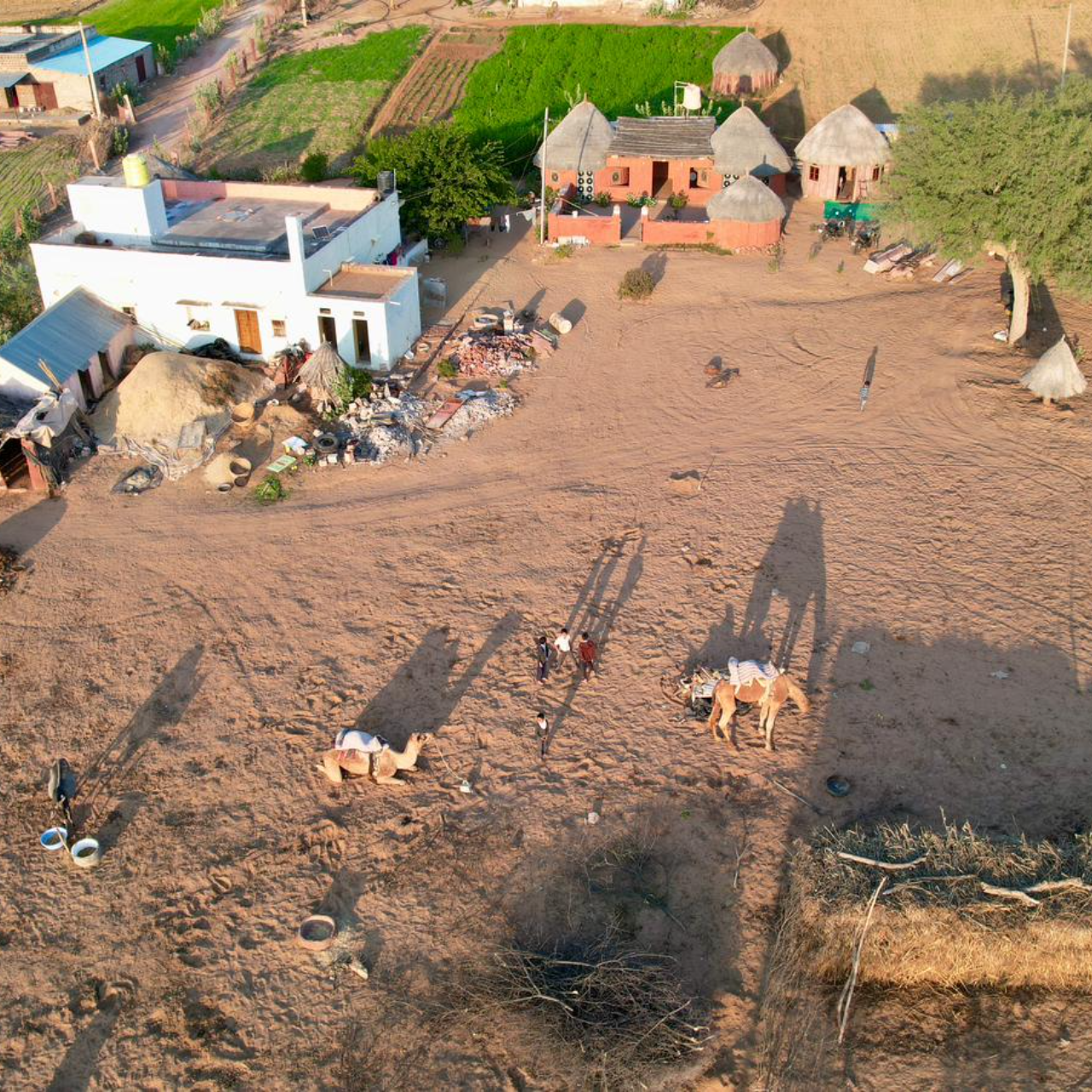 Jodhpur Thar Desert Safari & Traditional Cooking Experience