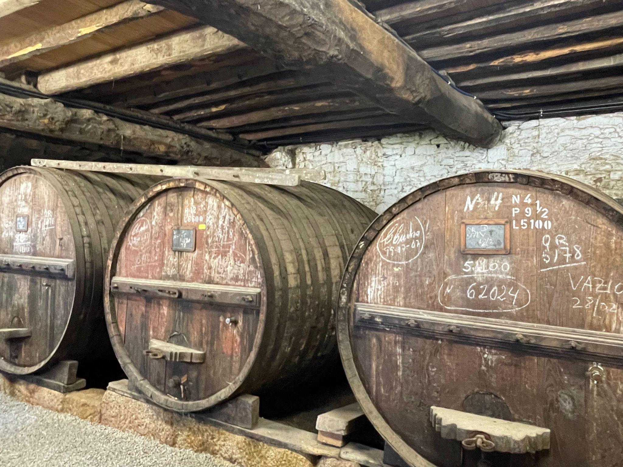 Douro Valley Small-Group Wine & River Cruise Day Trip from Porto