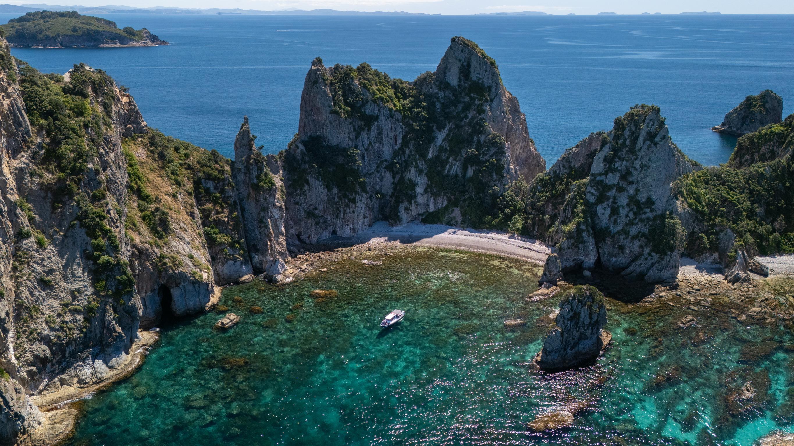 Aldermen Islands Marine Reserve Wildlife Cruise