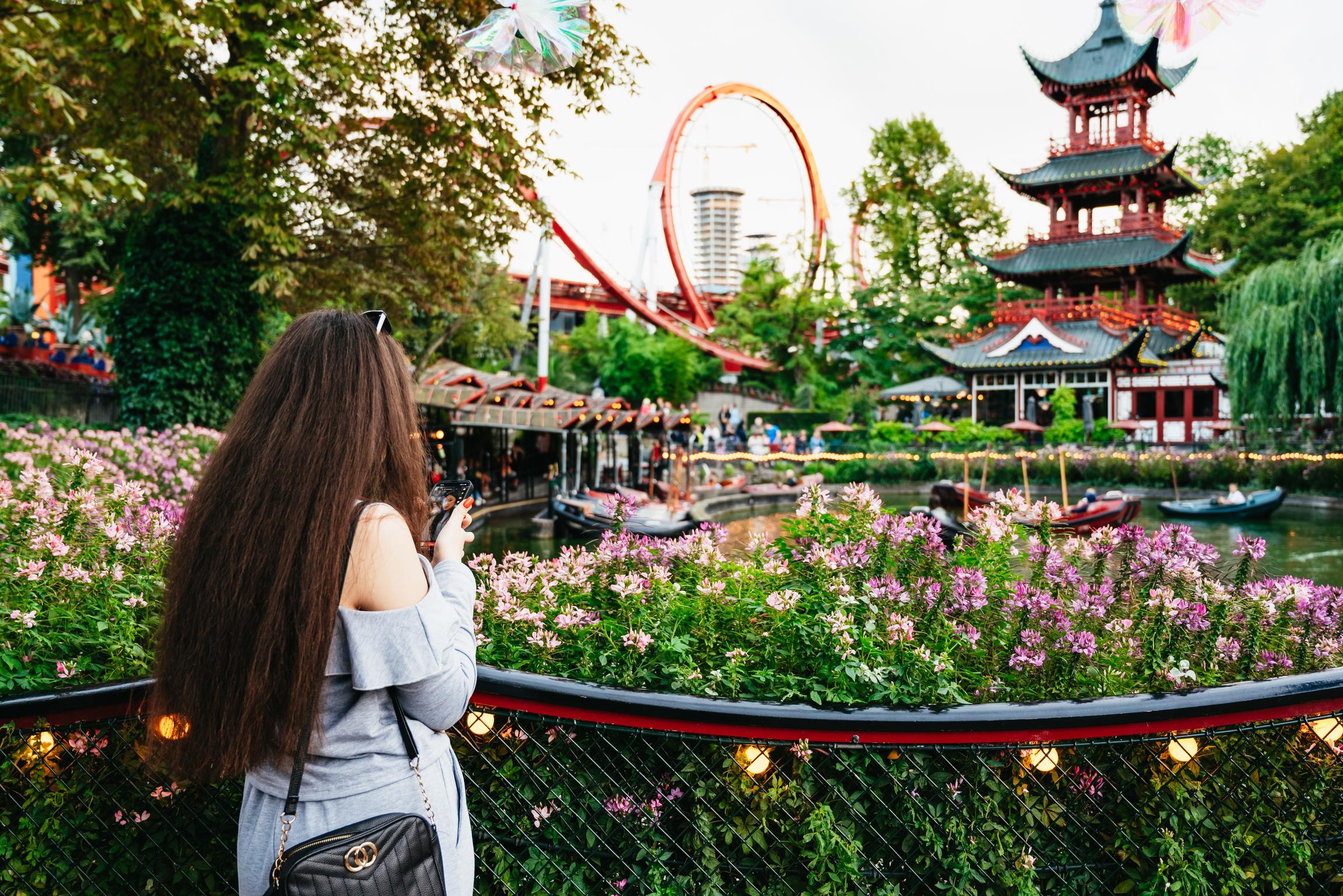Copenhagen: Tivoli Gardens Entry Ticket — Copenhagen Christmas market and winter city scenery