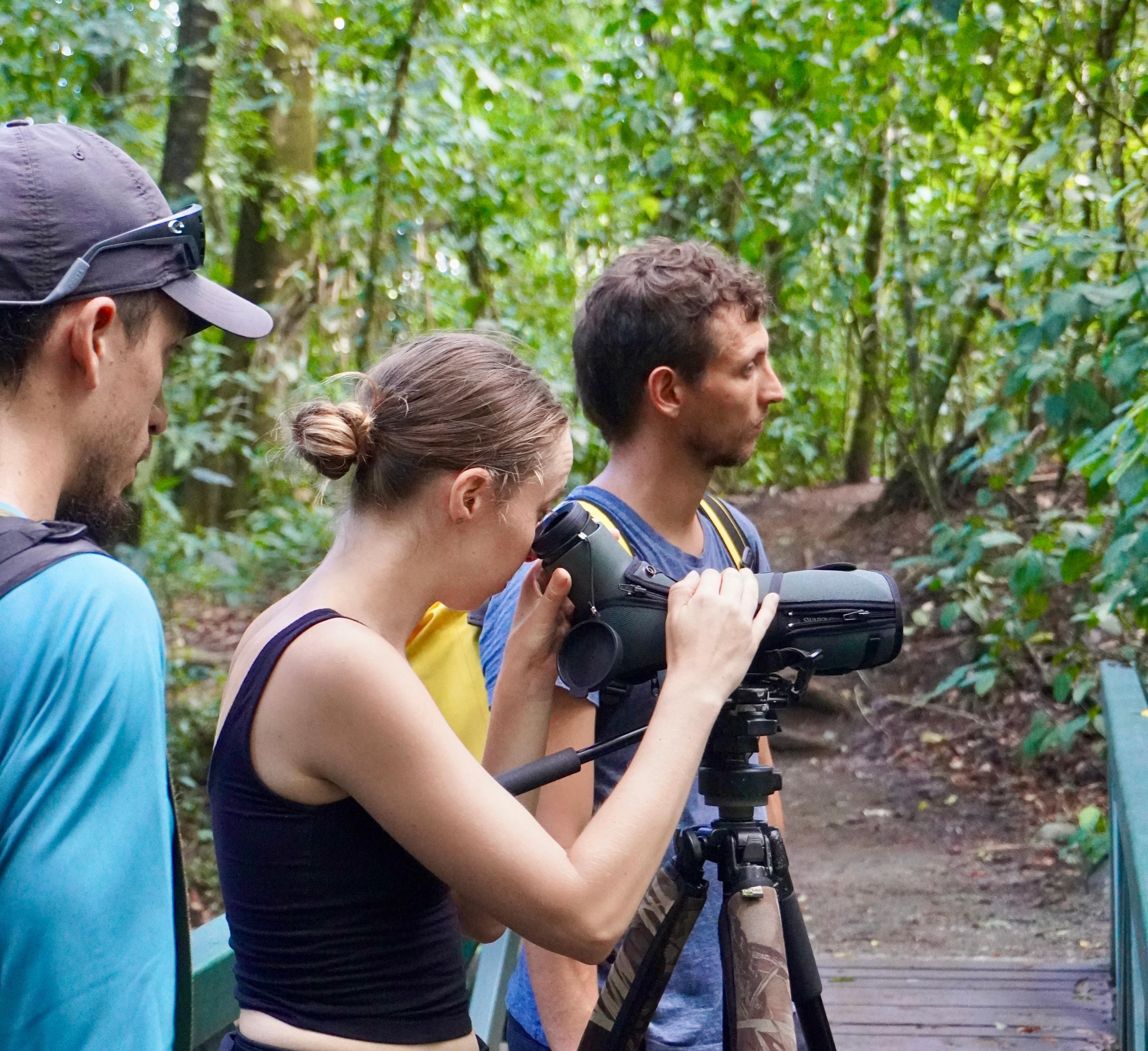 Manuel Antonio National Park: Naturalist-Led Wildlife Walking Tour