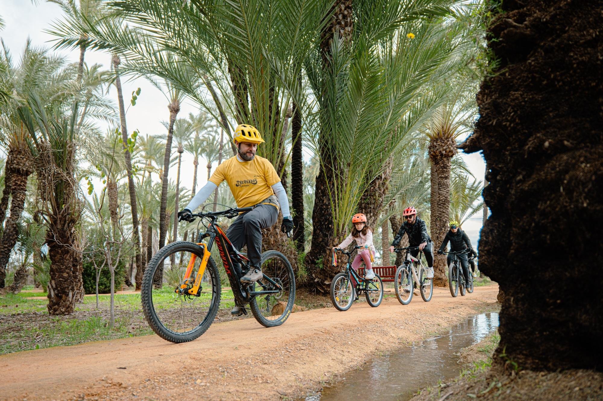 Murcia: Guided Arab Heritage & Orchard Bike Tour