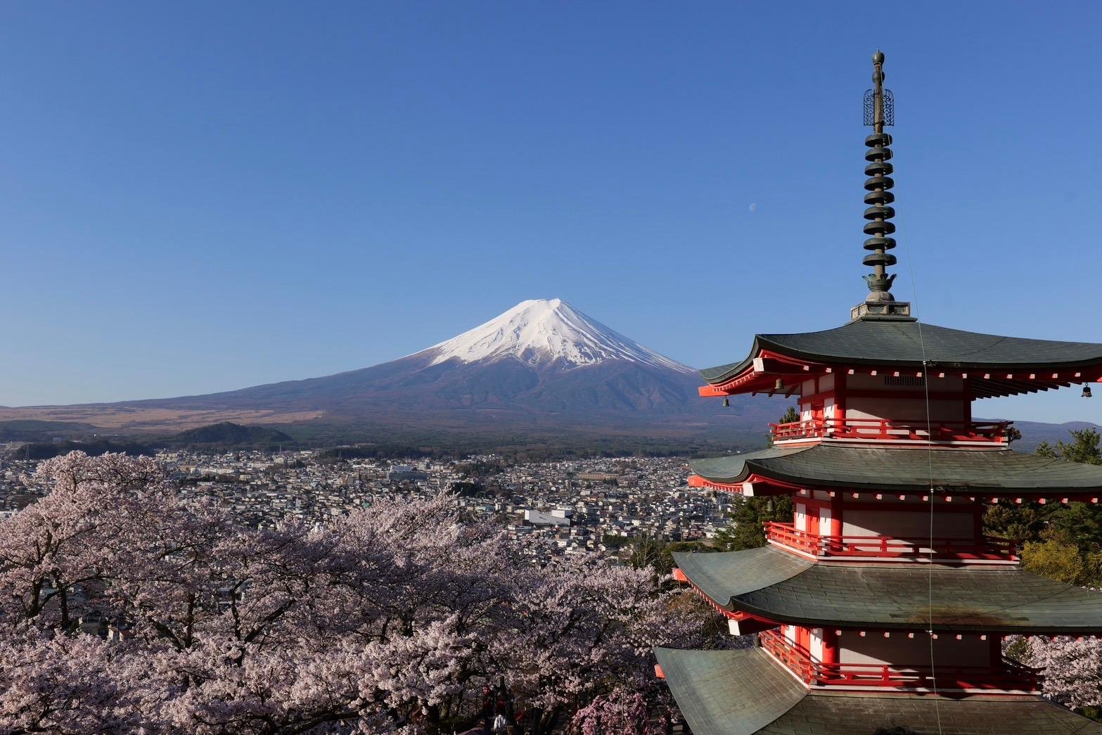 Private Mt. Fuji & Lake Kawaguchi Half-Day Excursion