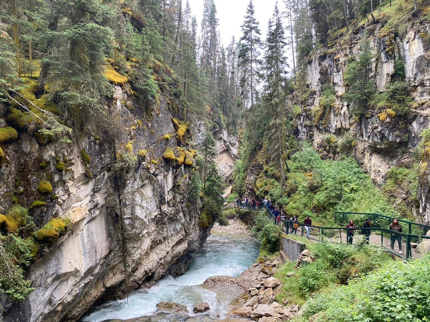Lake Louise and Moraine Lake shuttle tour — glacial turquoise lakes in Banff National Park — image 8