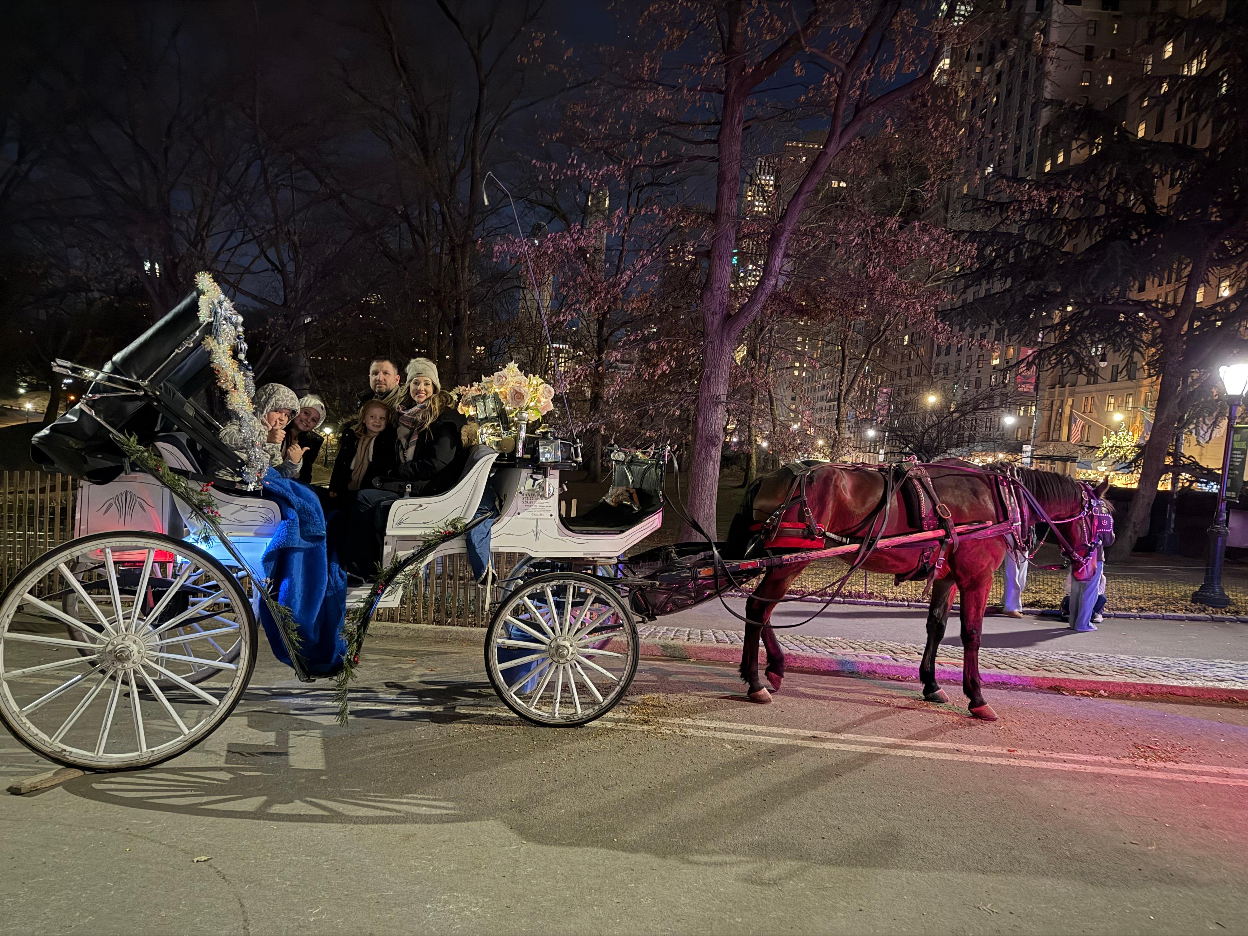 Private Central Park Horse Carriage Tour with Guide