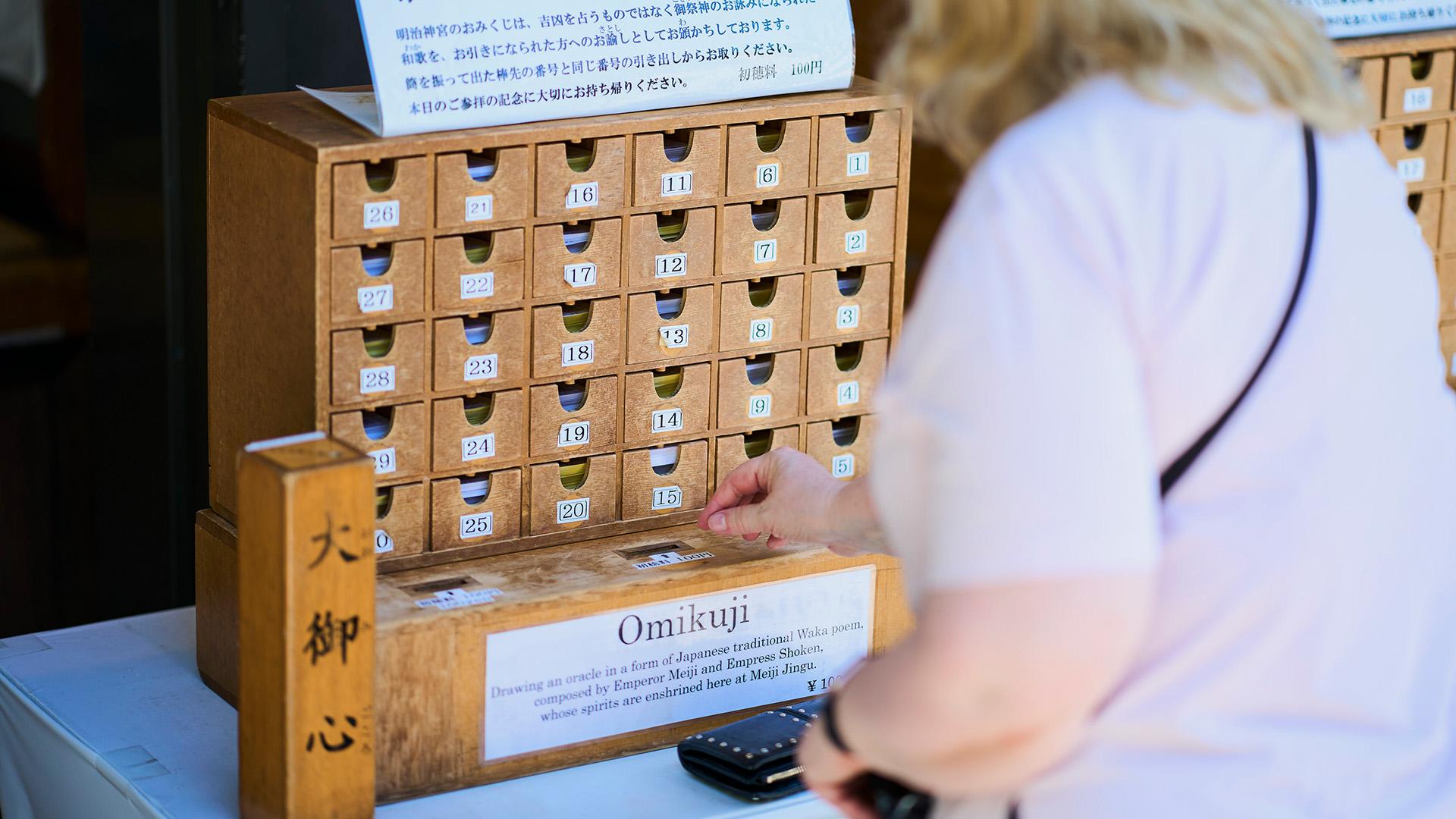 Tokyo Meiji Shrine Walking Tour: Shinto Faith & Imperial Legacy