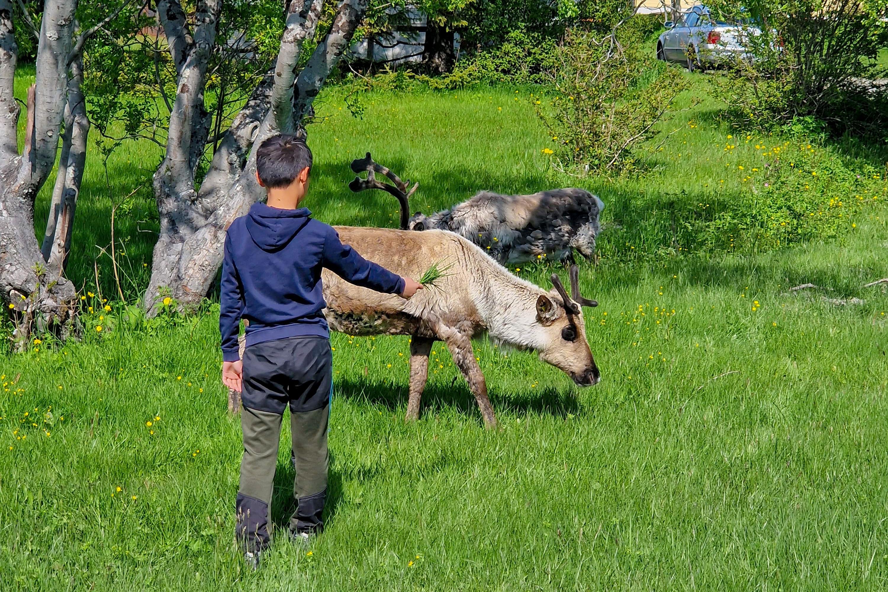 Tromsø: Sommaroy Fjord Tour with Lunch Option — Sommarøy island Norway tour photo 4