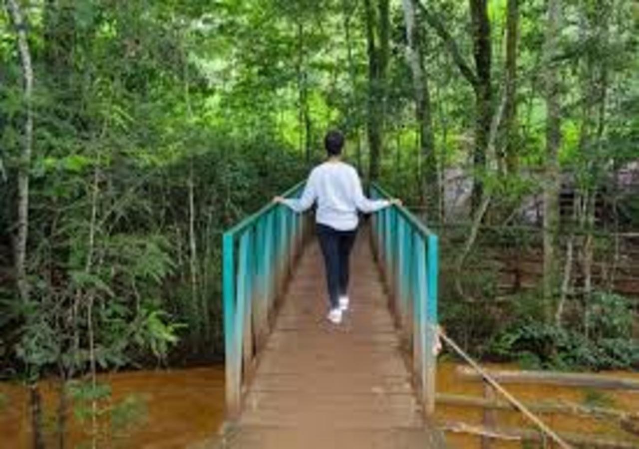 Karura Forest Hidden Waterfalls & Picnic Hike