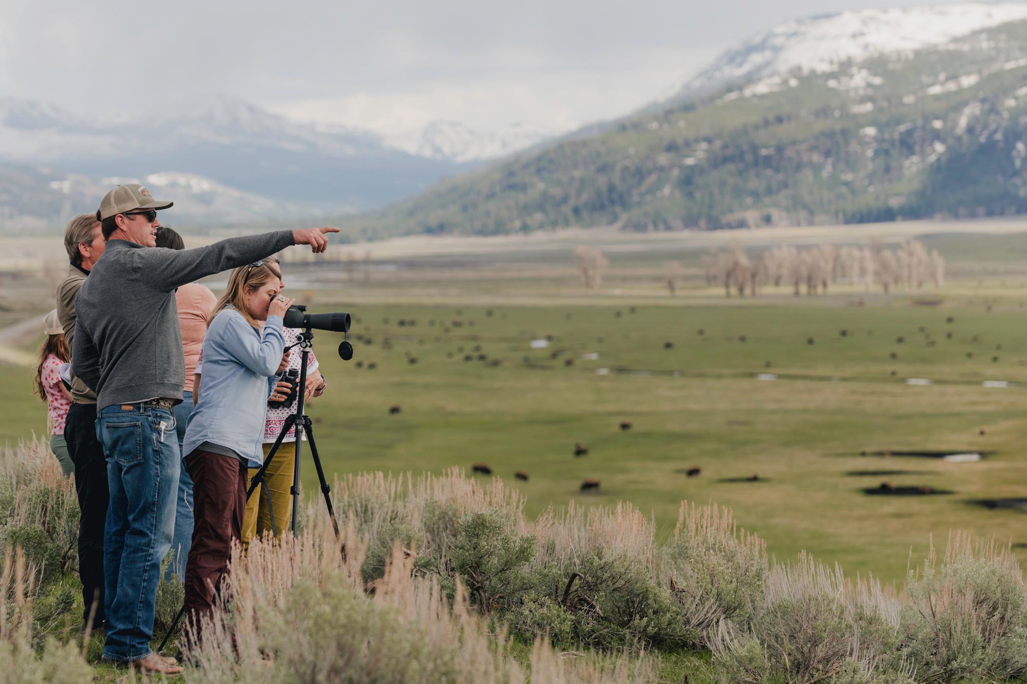 Grand Teton Private Wildlife Safari and Sunset Dinner