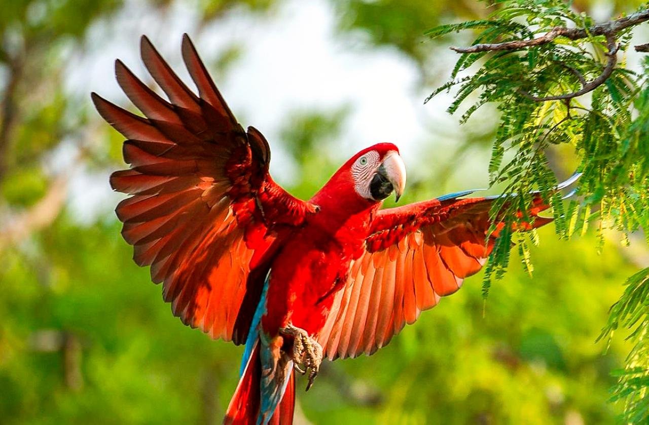 4-Day Puerto Maldonado & Sandoval Lake Amazon Tour from Cusco