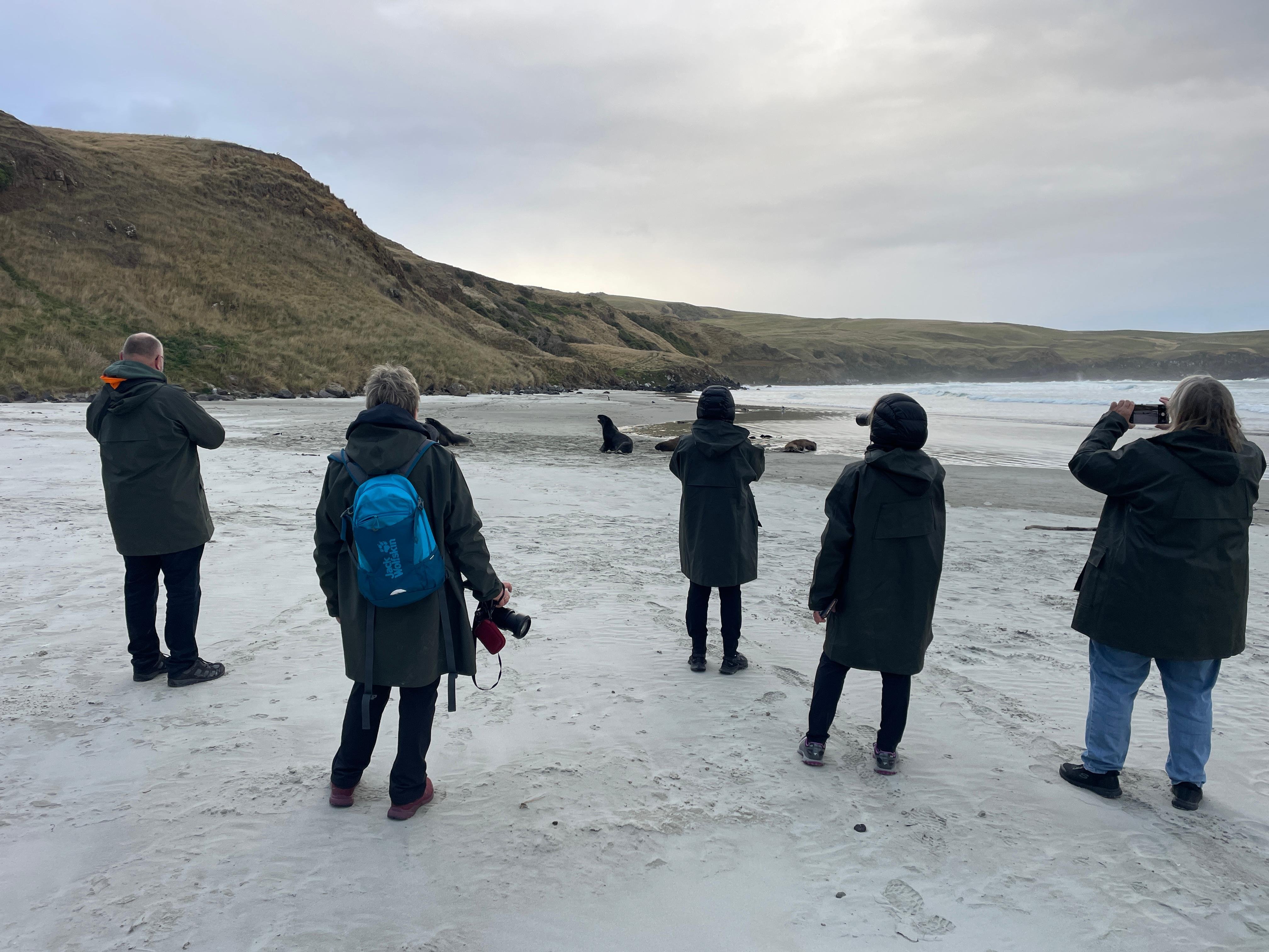 South Island guided tour photo — image 5