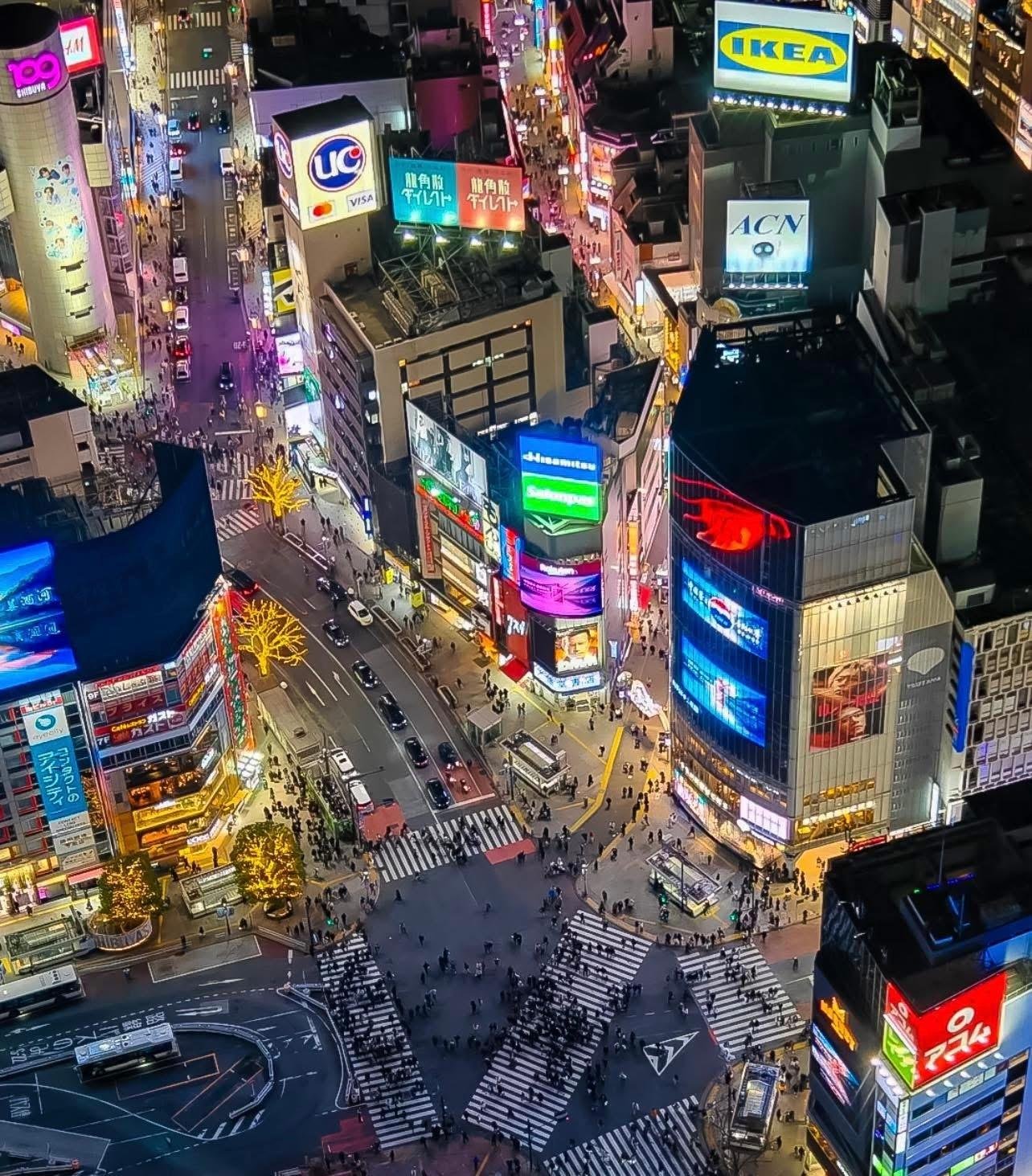 Tokyo Private Full-Day City Tour — Custom Itinerary with English Guide