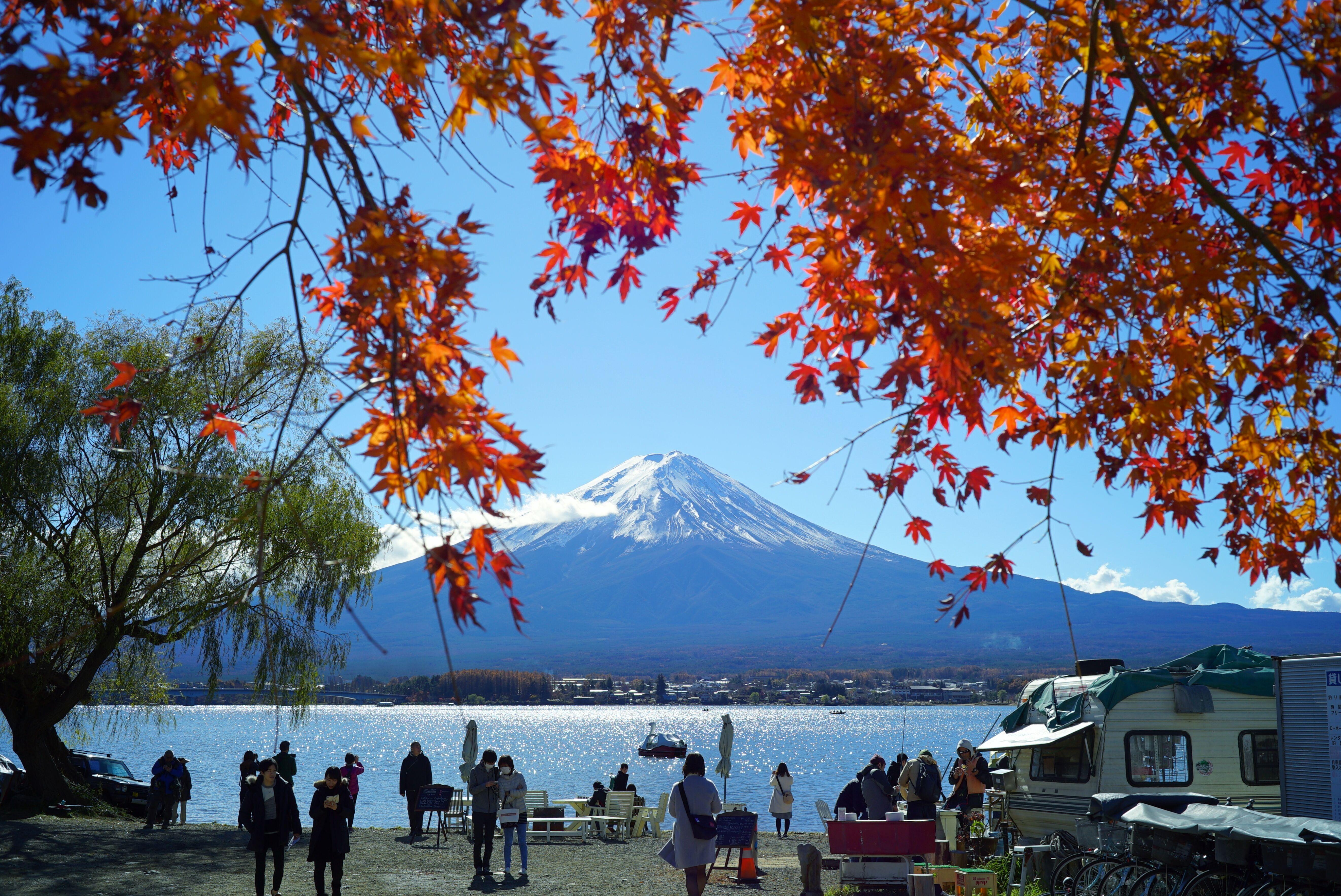 Private Mount Fuji & Hakone Day Tour from Tokyo