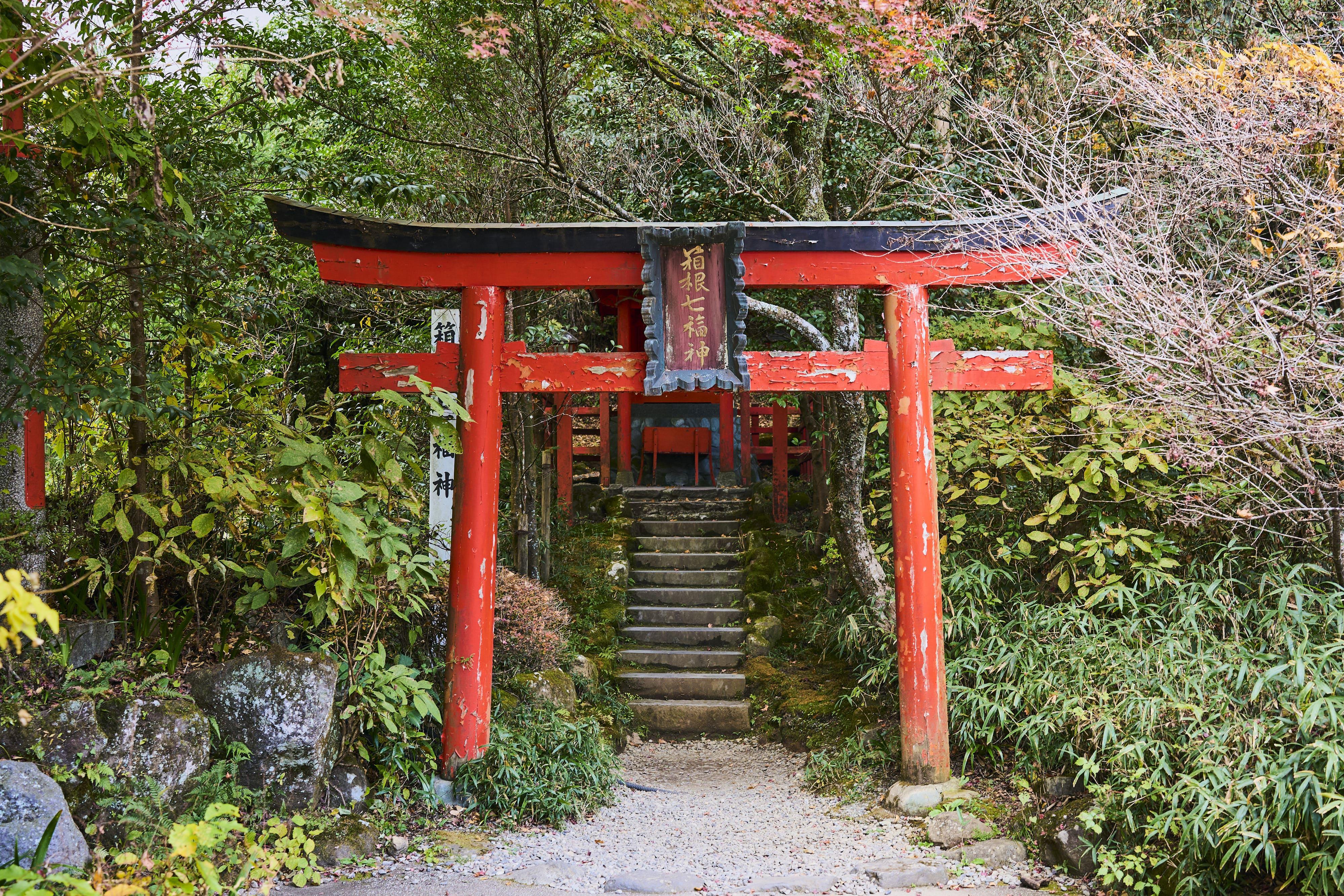 Mt. Fuji & Hakone Day Trip: Pirate Cruise, Ropeway & Shrine from Tokyo