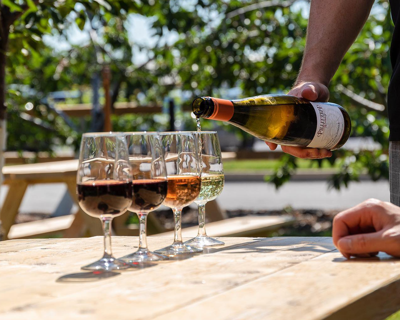 Niagara: Lunch in the Vineyard Experience