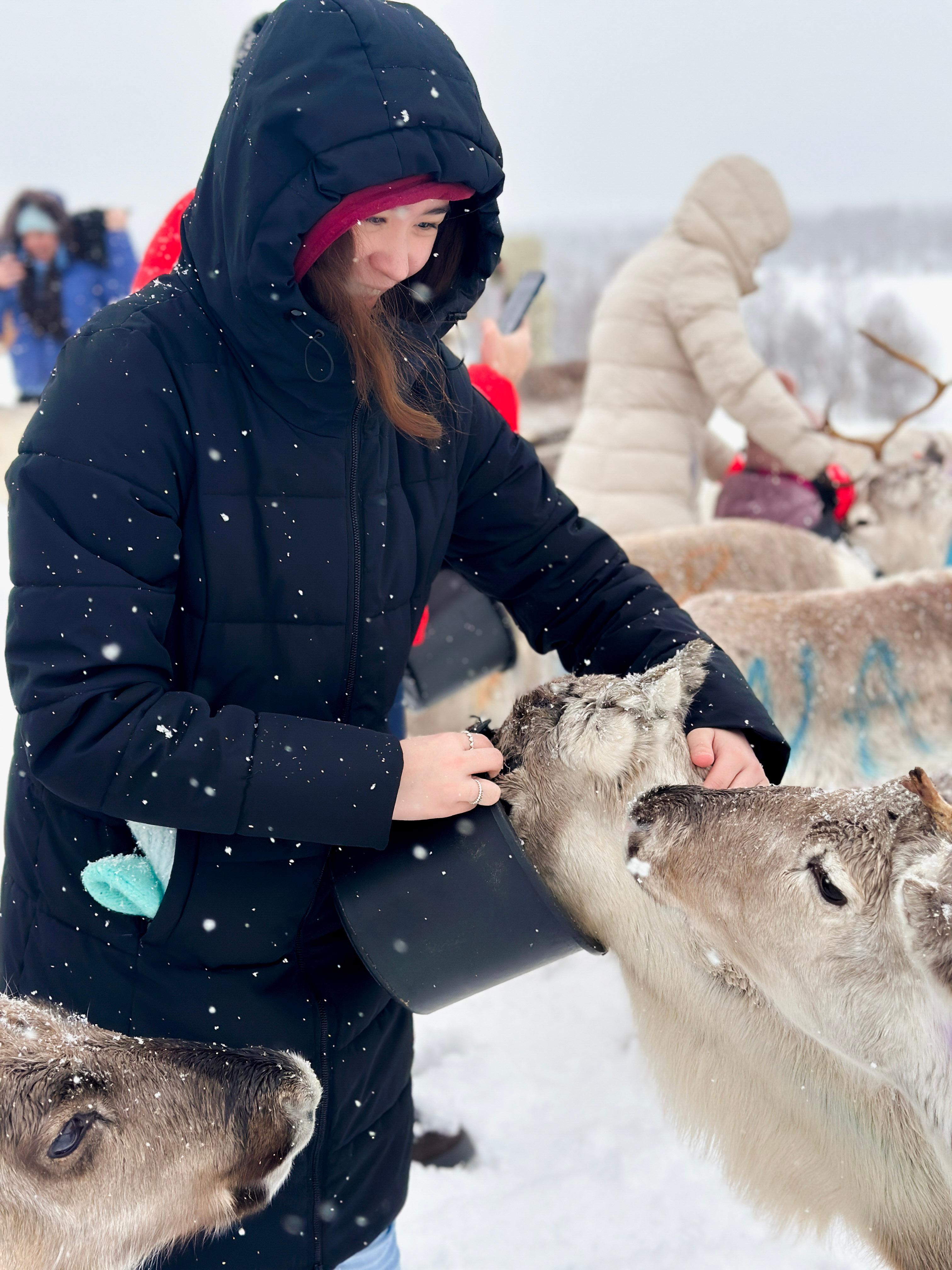 Tromsø: Reindeer Feeding and Sami Culture with Lunch