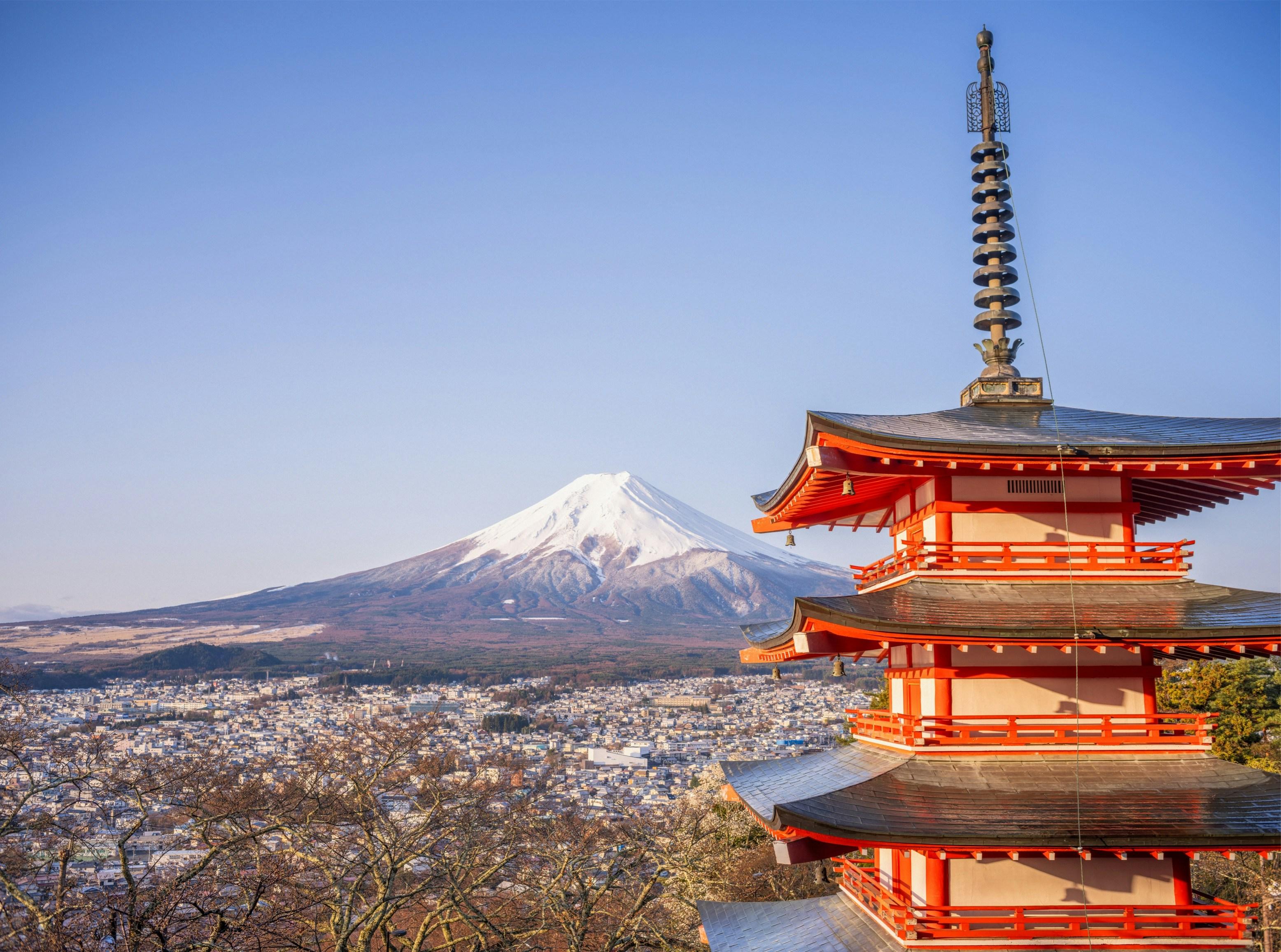Private Mt. Fuji & Hakone Day Tour from Tokyo