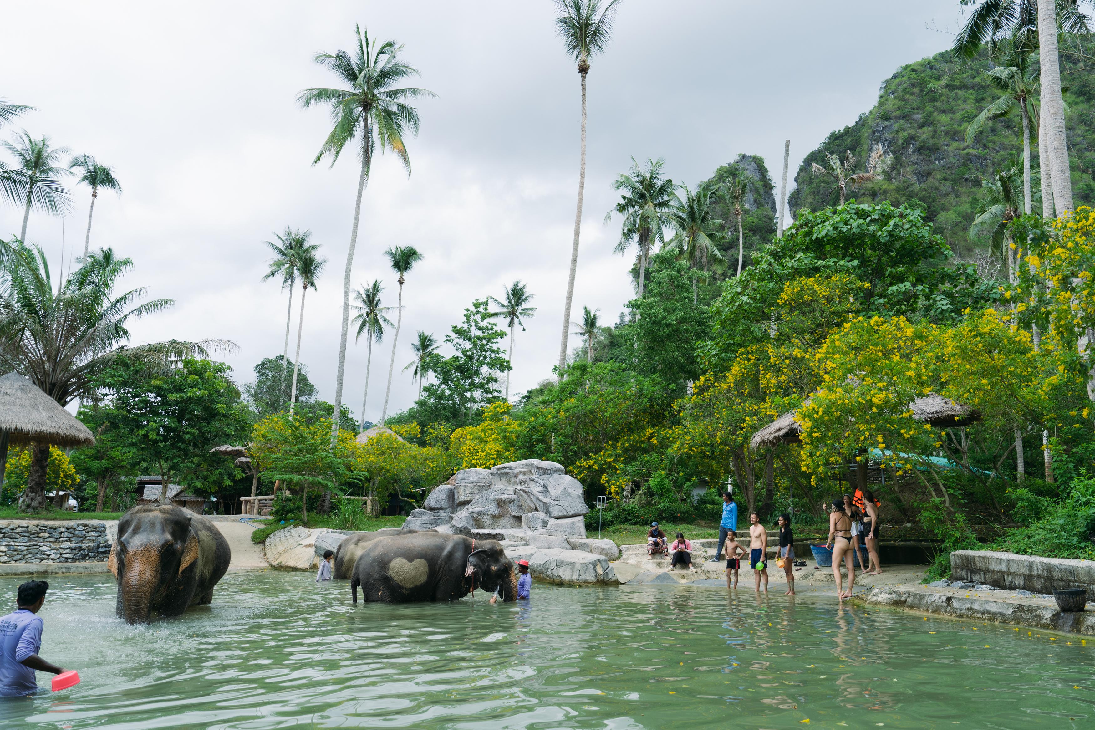 Ao Nang Elephant Sanctuary Half-Day Experience