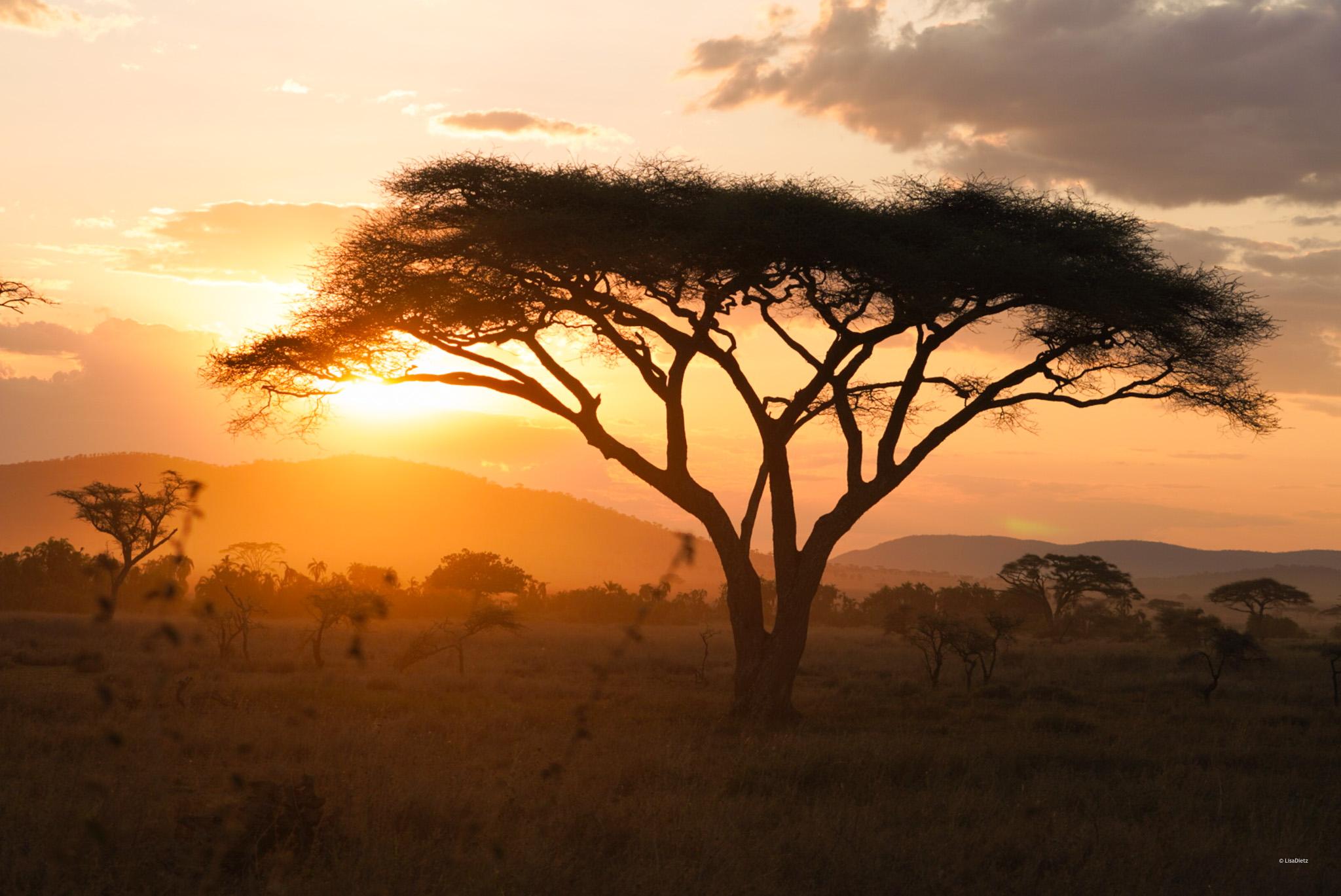 3-Day Serengeti & Ngorongoro Group Camping Safari