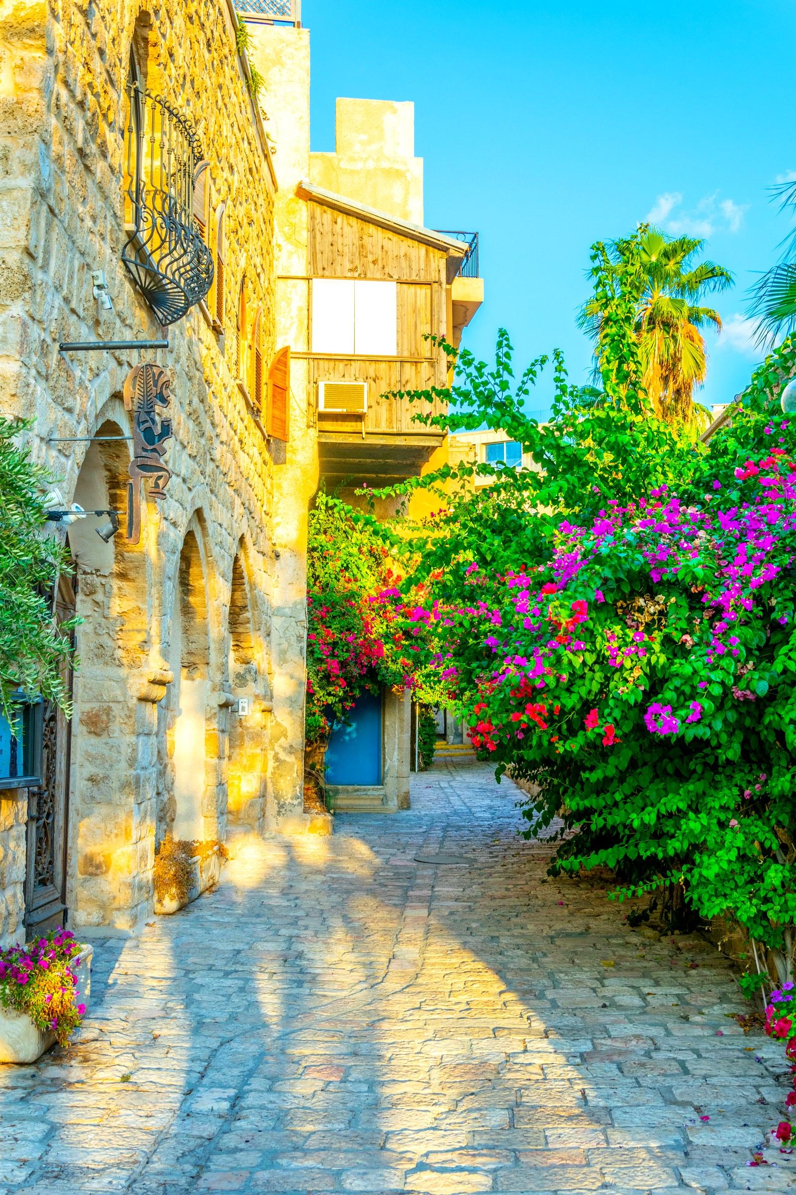 Jaffa to Tel Aviv Walking Tour with Market Tastings