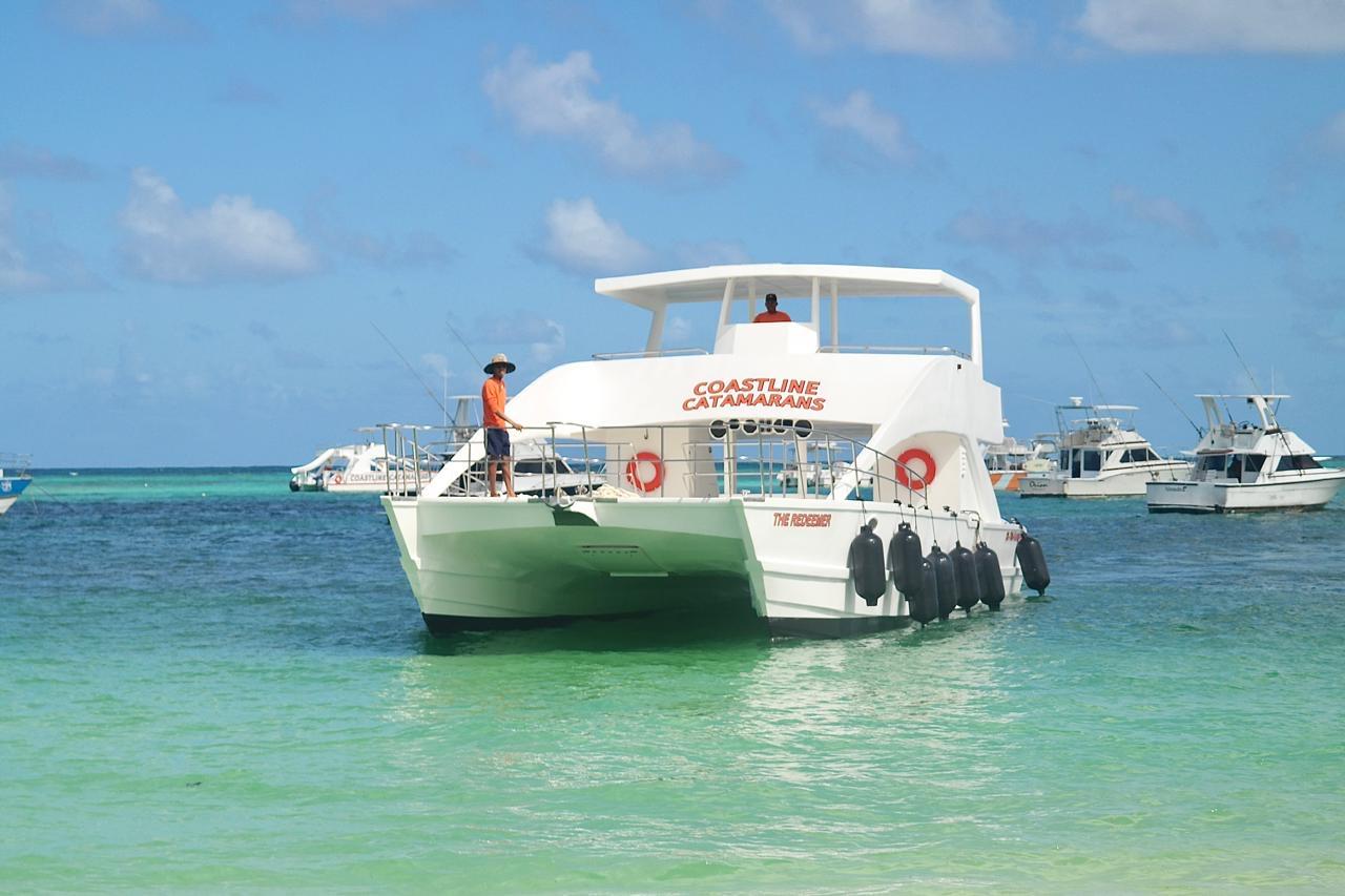 Punta Cana Catamaran & Reef Snorkel with Open Bar