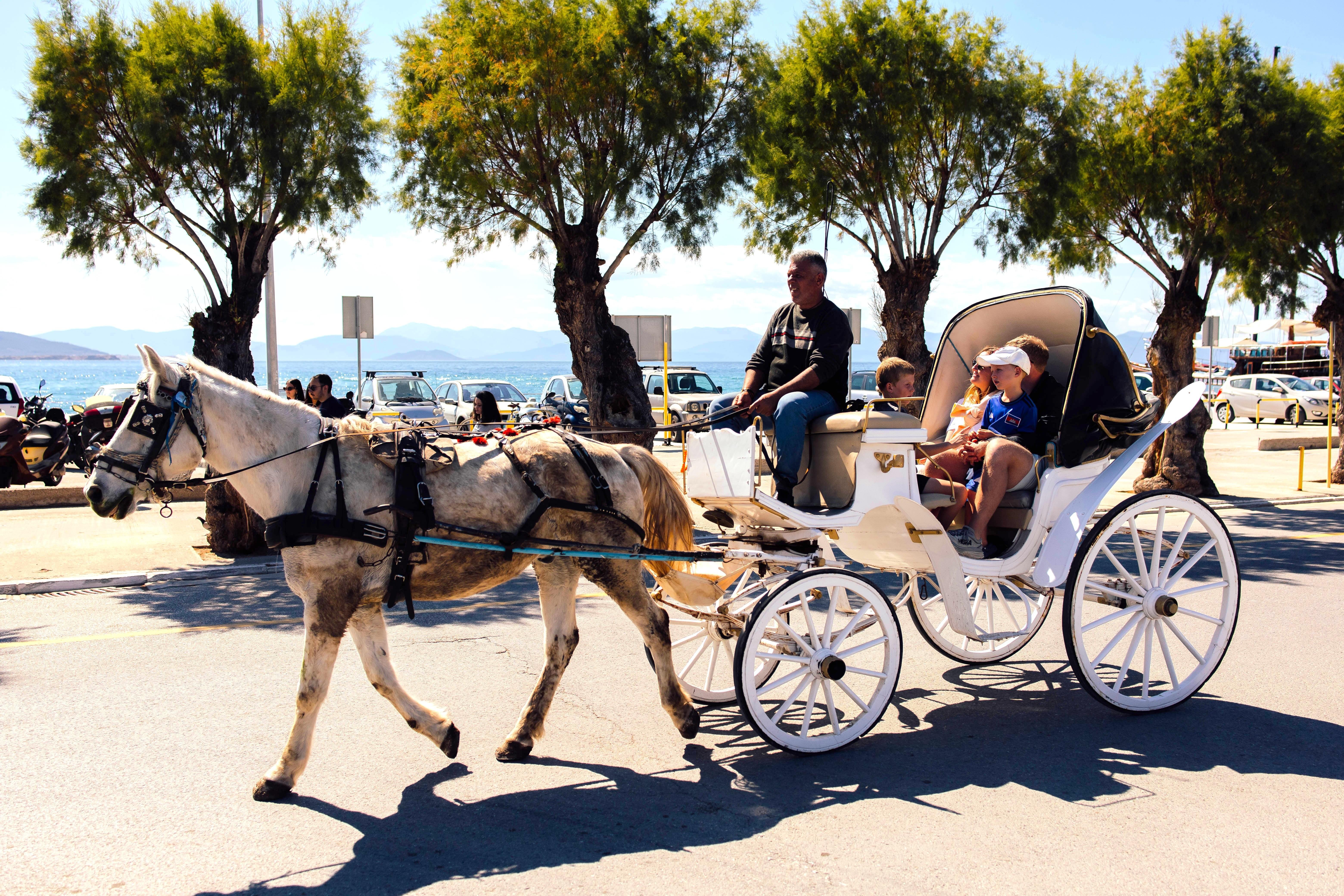 Athens Island-Hopping Cruise: Agistri, Metopi & Aegina with Lunch & Drinks